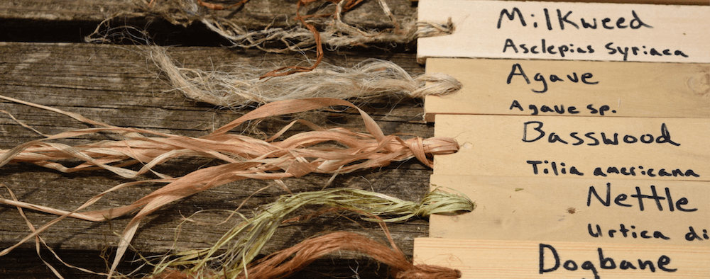 fiber samples showing basswood, nettle, agave, milkweed, dogbane