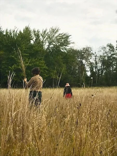 two women foraging grasses in a yellow field to make baskets