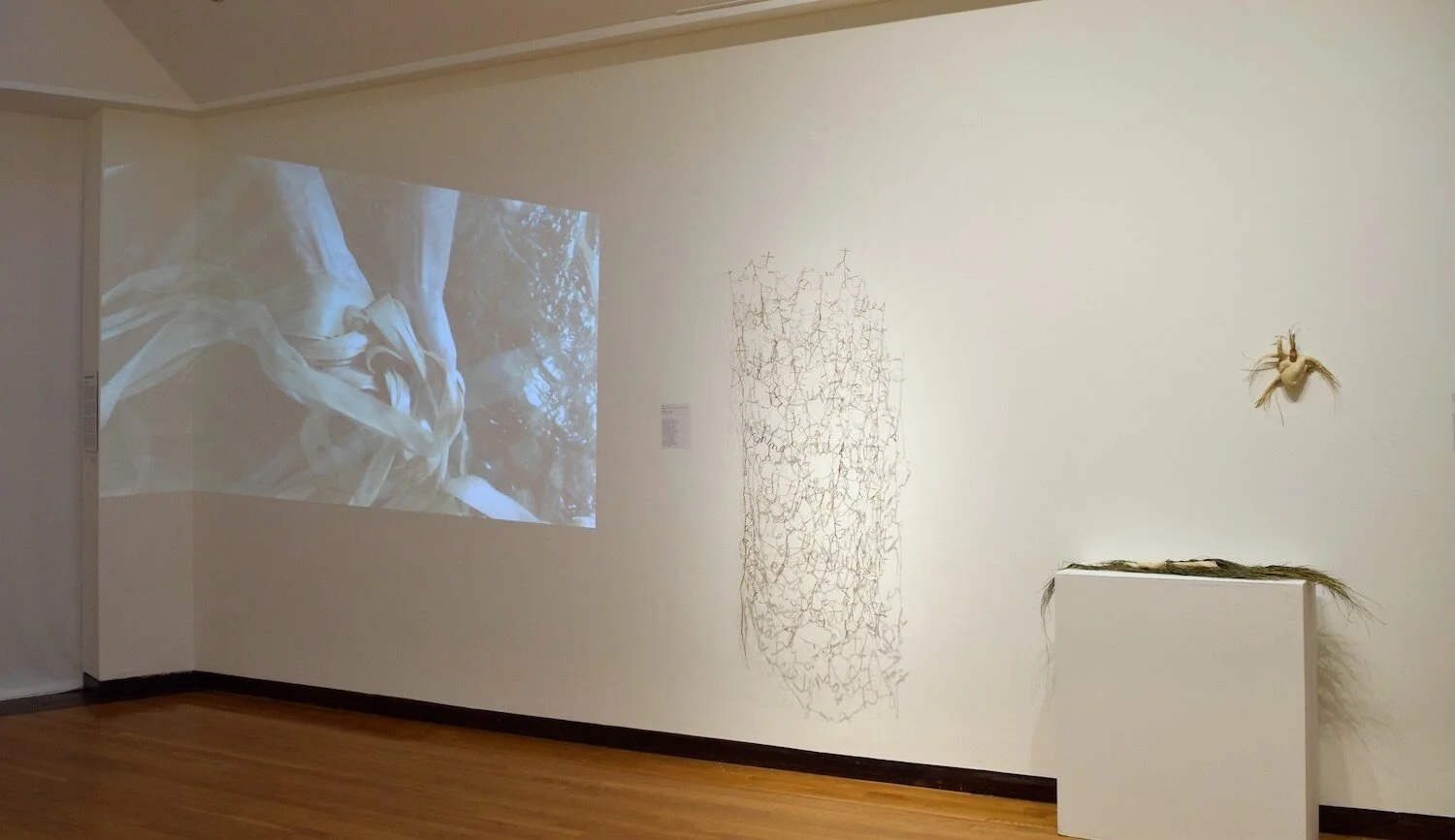 installation view of Interwoven Lineage