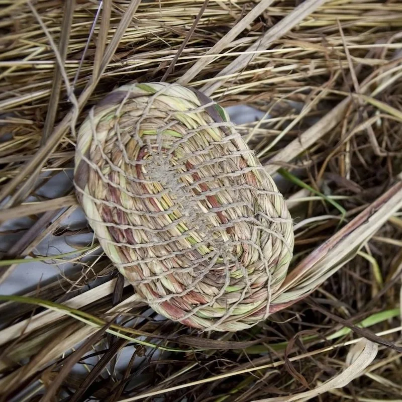 a coiled start to a basket