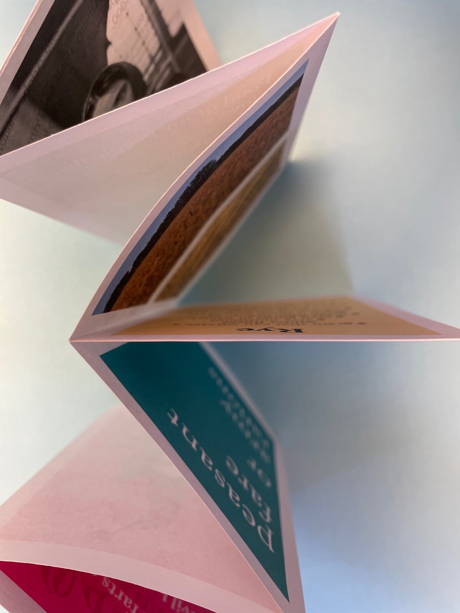 pumpernickel 6 larger.jpeg