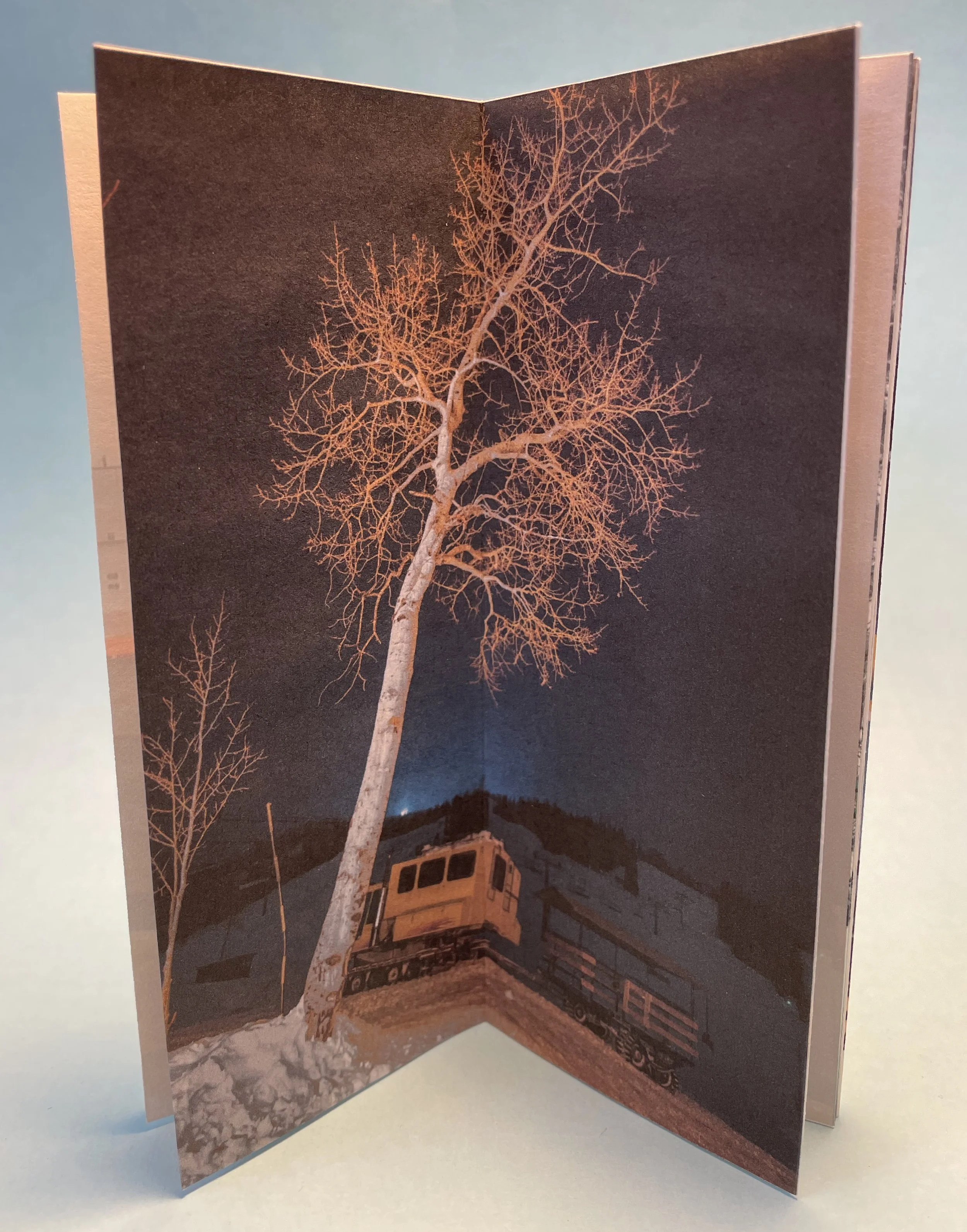 Snowplow Interior 2.jpg