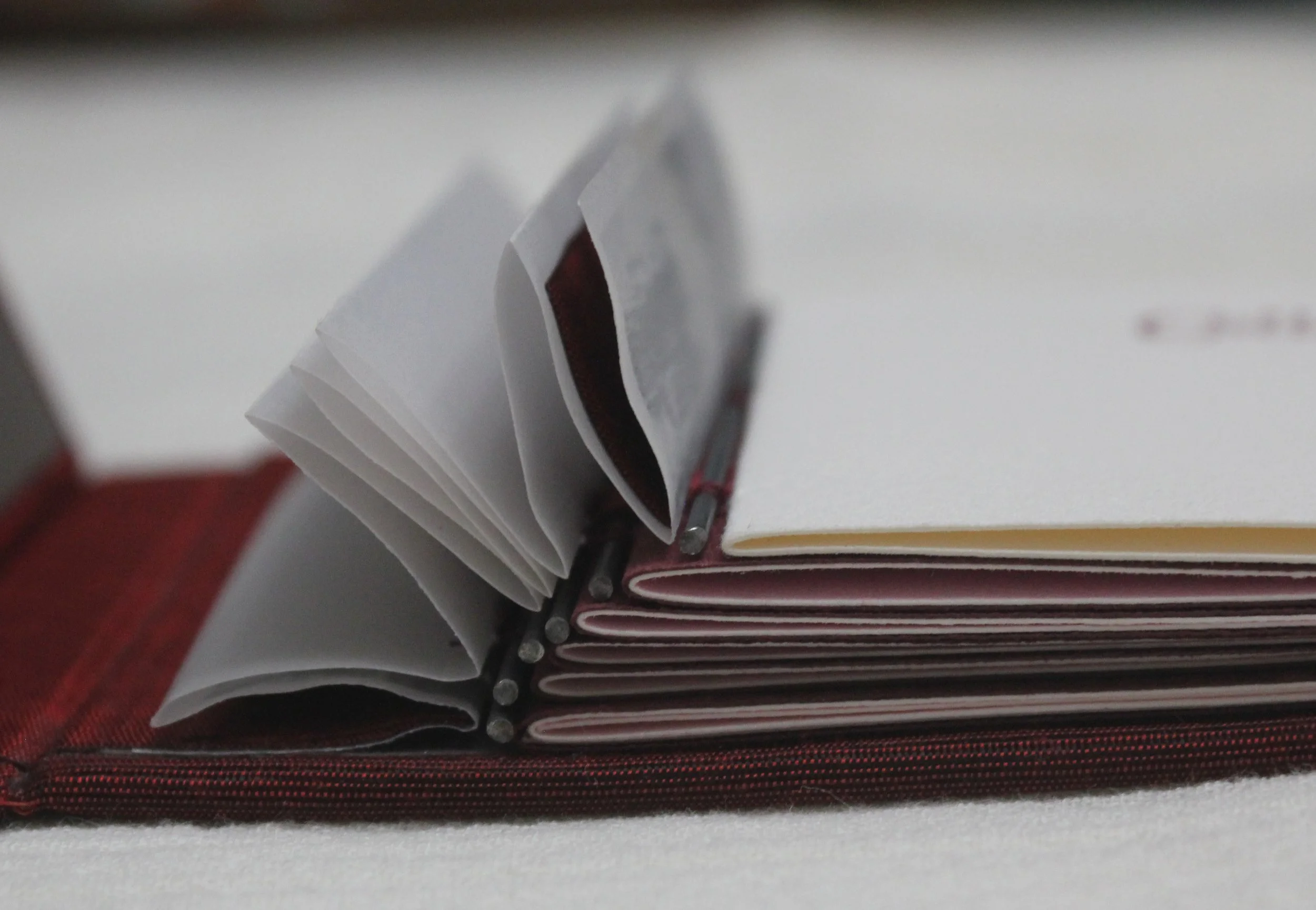 Collectors, Librarians, Artists