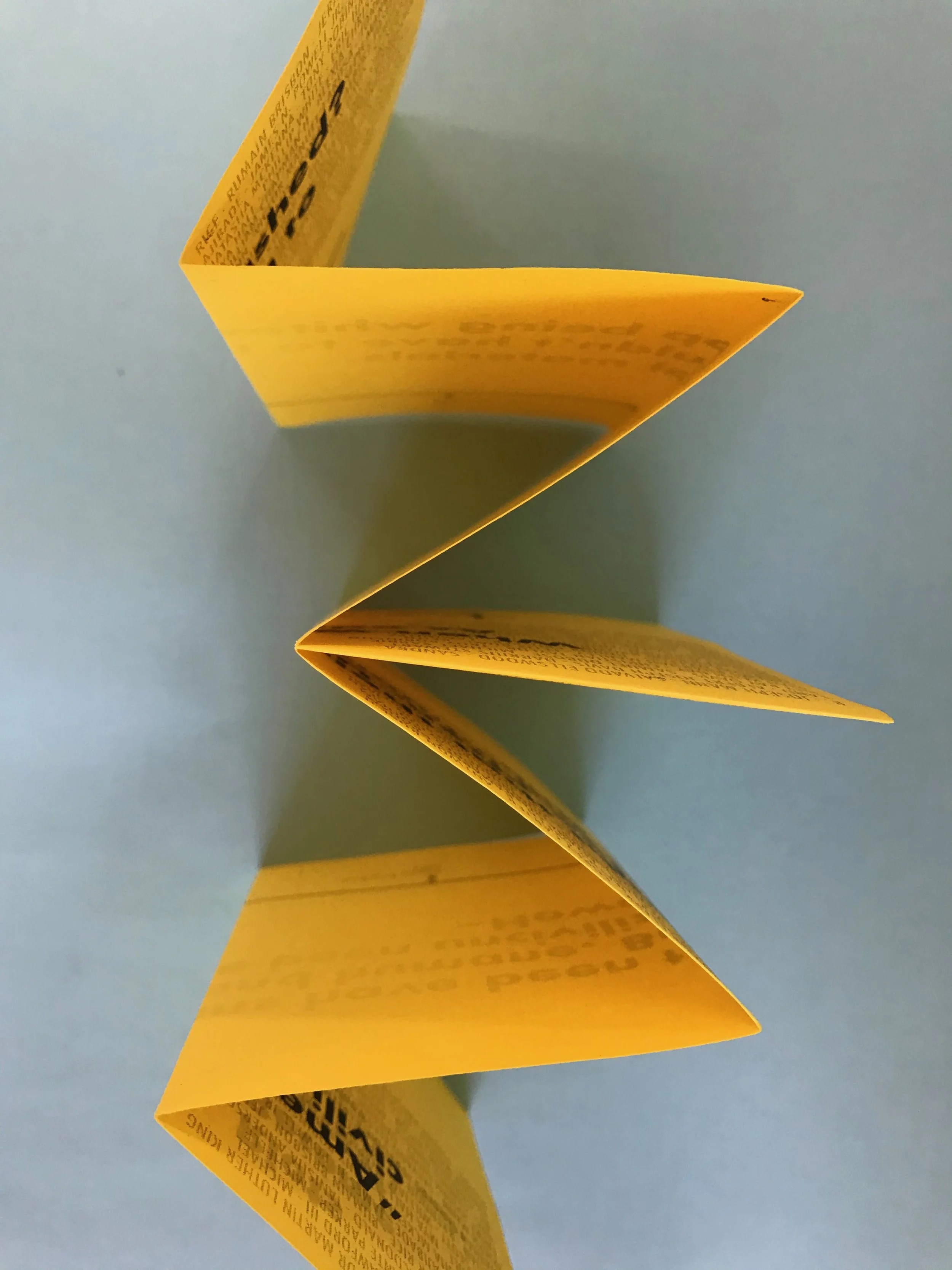 BLM protest textbooks top.jpeg