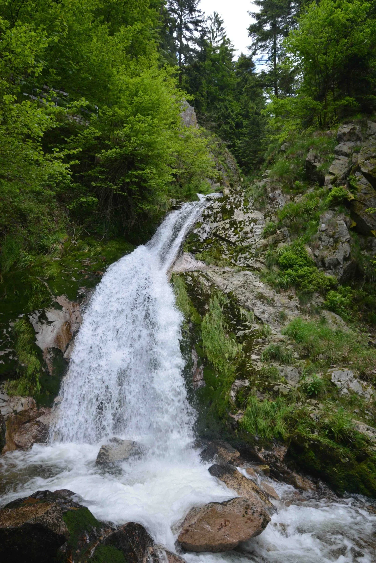 Andy Leverett Photography Waterfall.webp