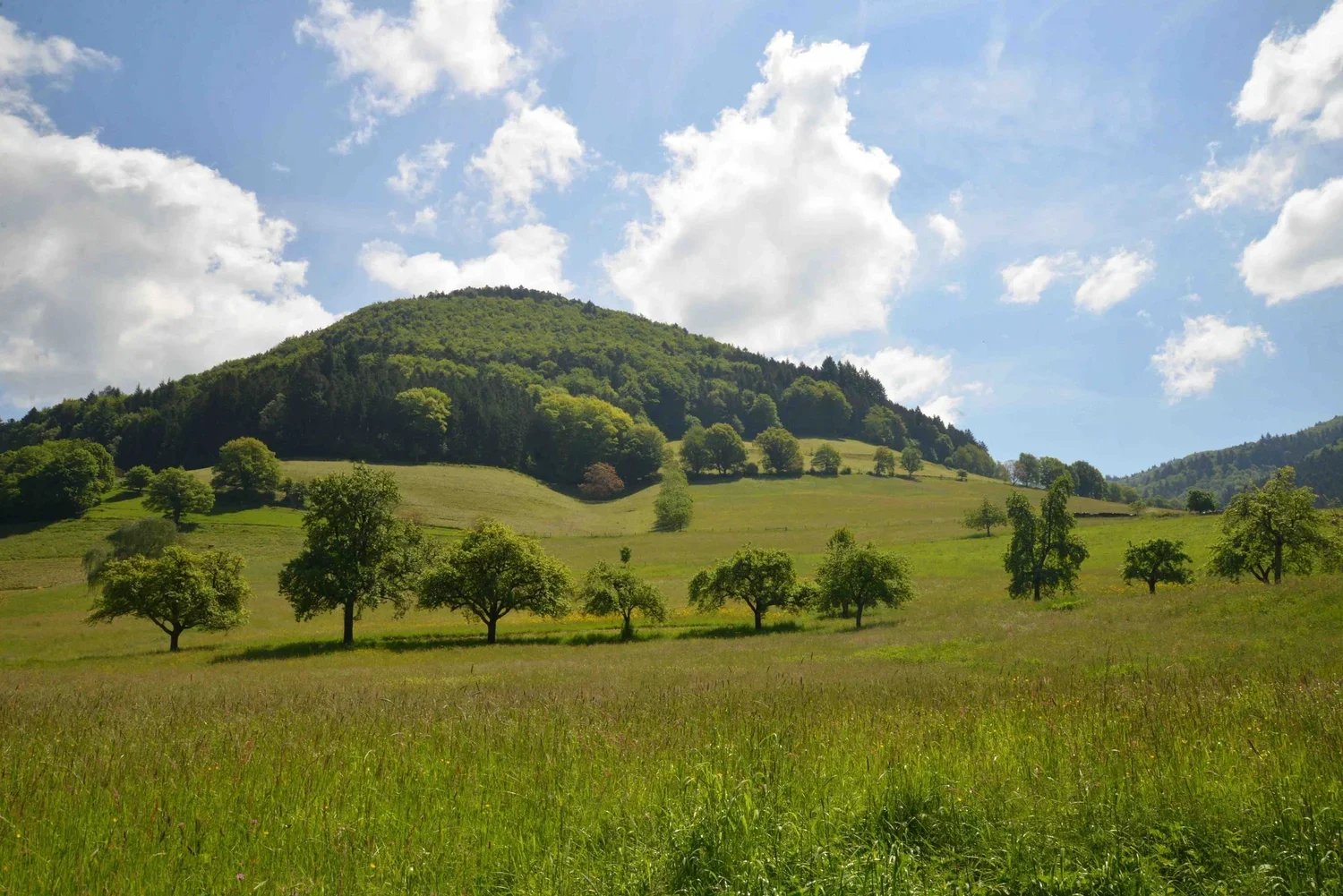 Andy Leverett Photography Germany 2.webp