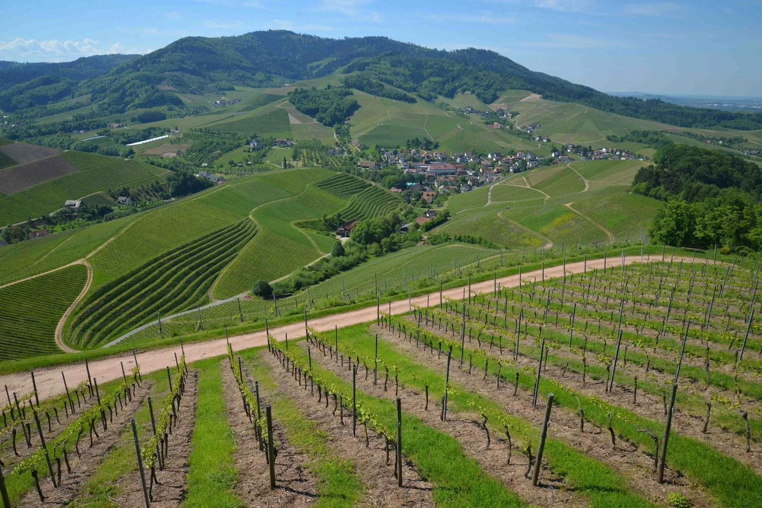 Andy Leverett Photography Germany.webp