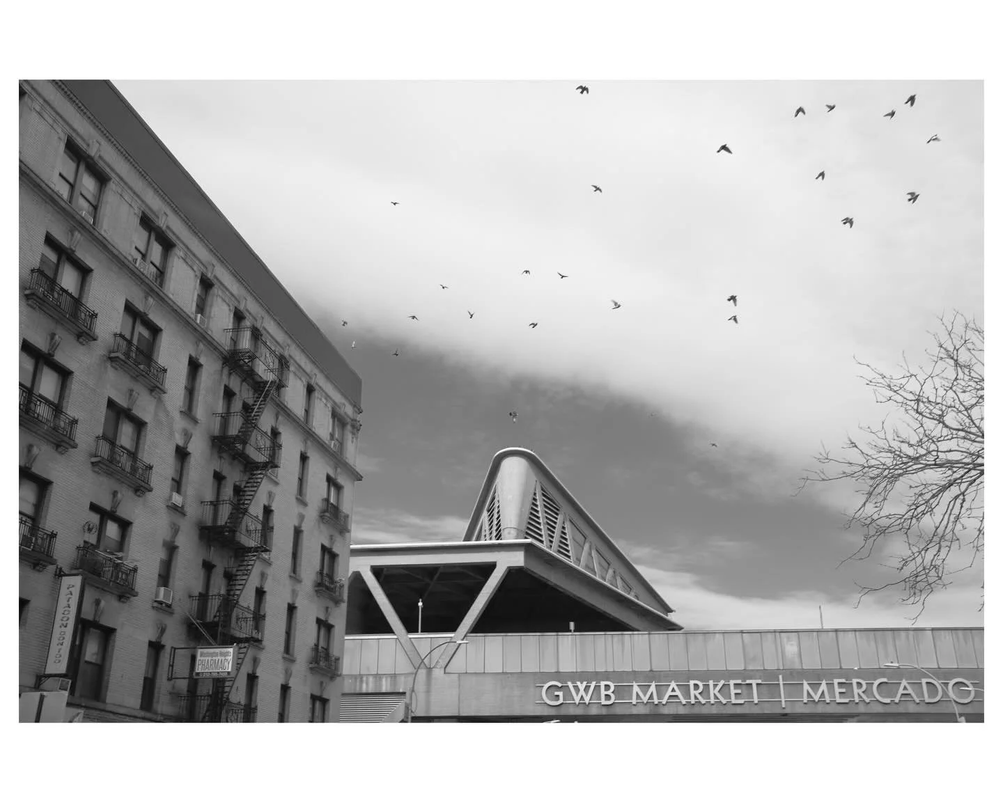 Headed to the heights.