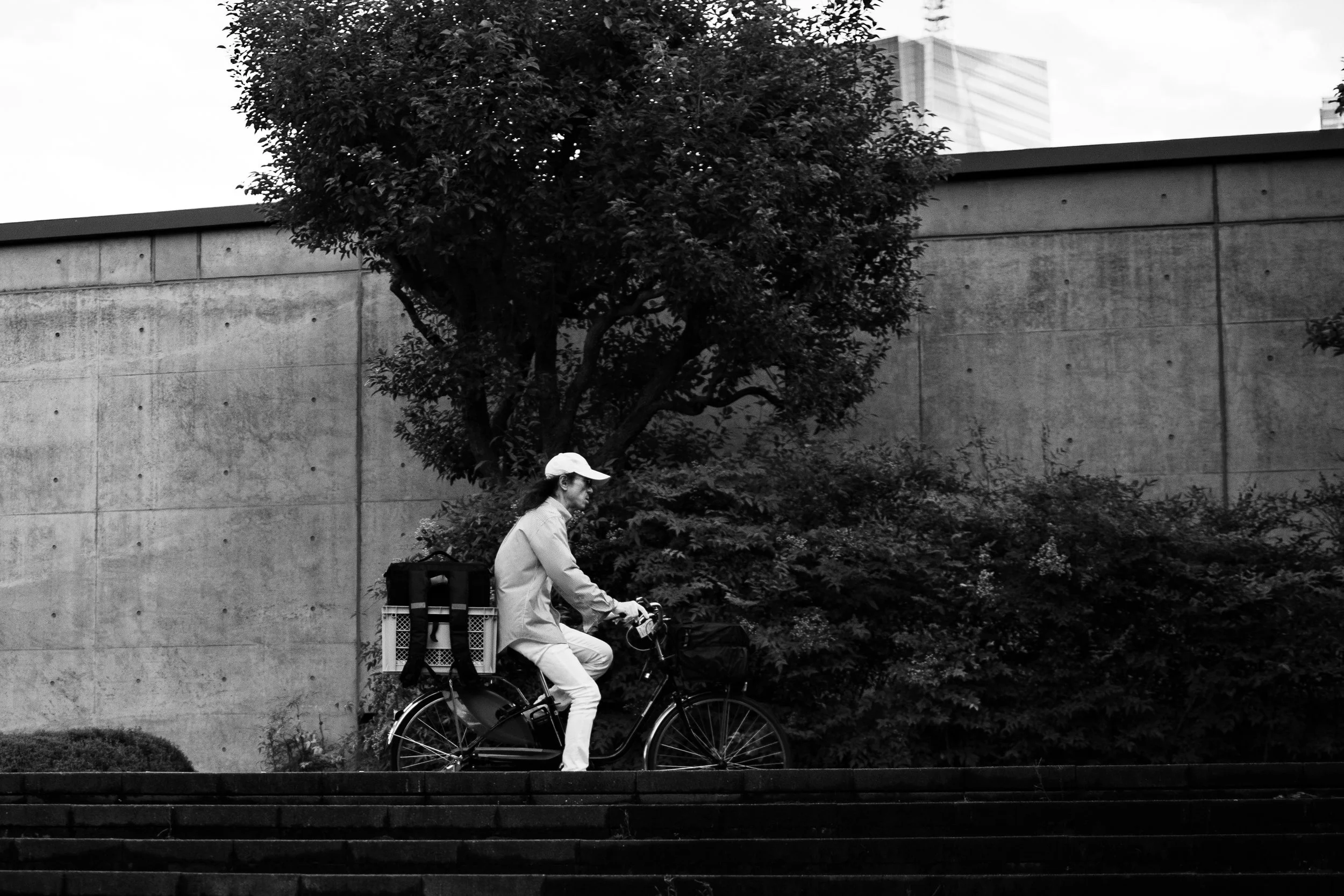 A person riding a bicycle up steps near a tree and a concrete wall in an urban setting.