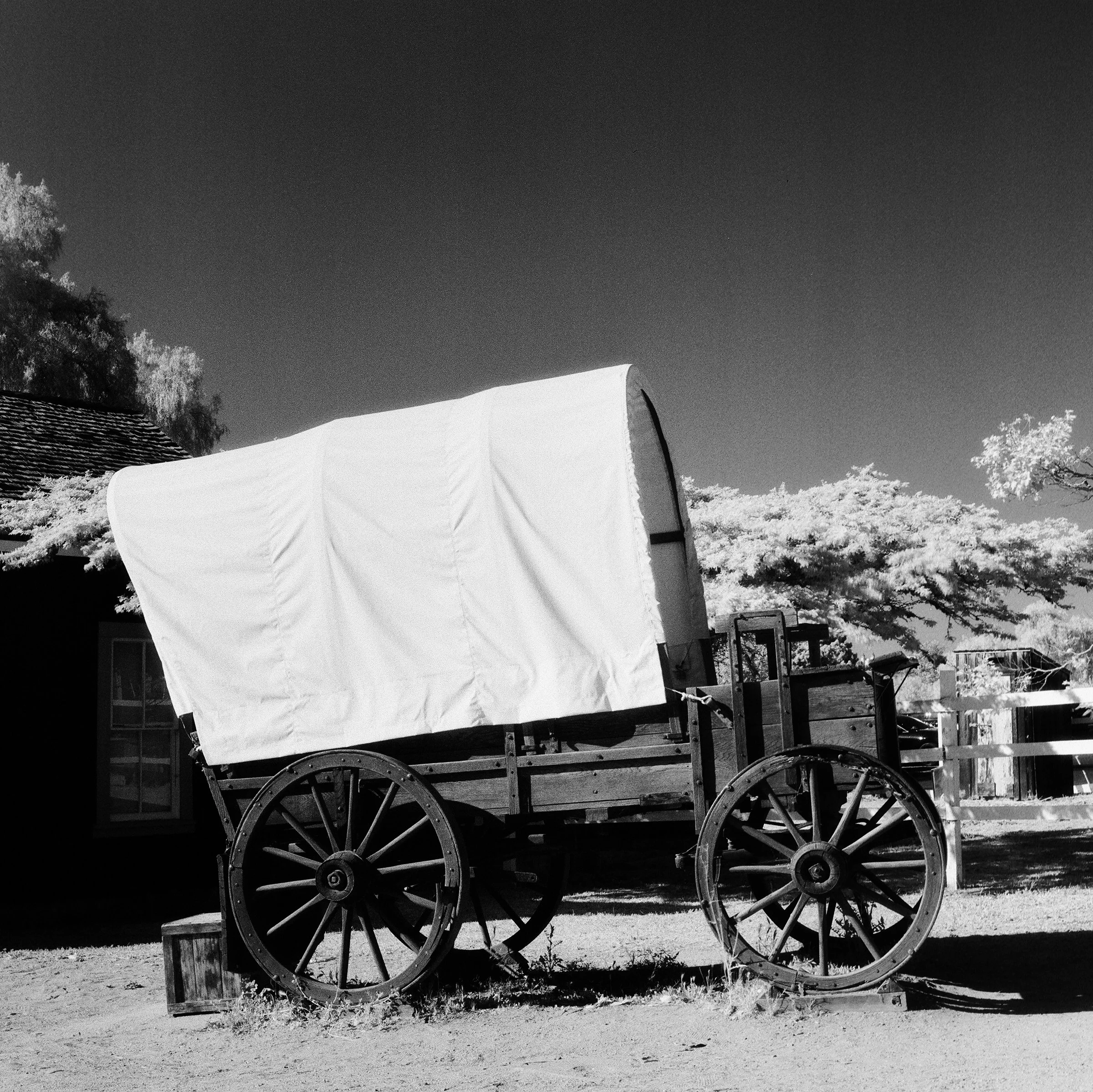 IR Filter - ISO 3 · 1/4 · F/16