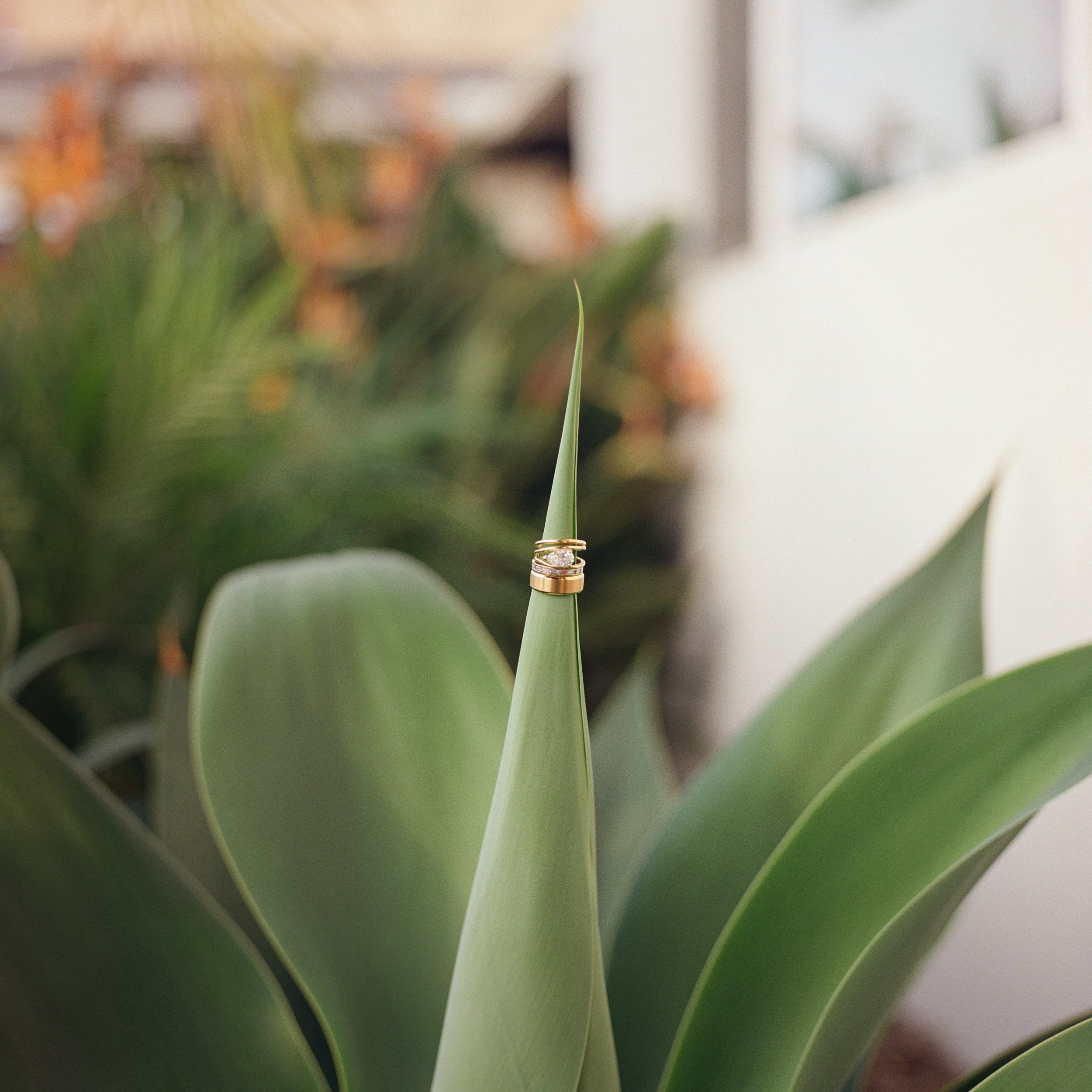 A Fall Wedding Styled Shoot in San Diego