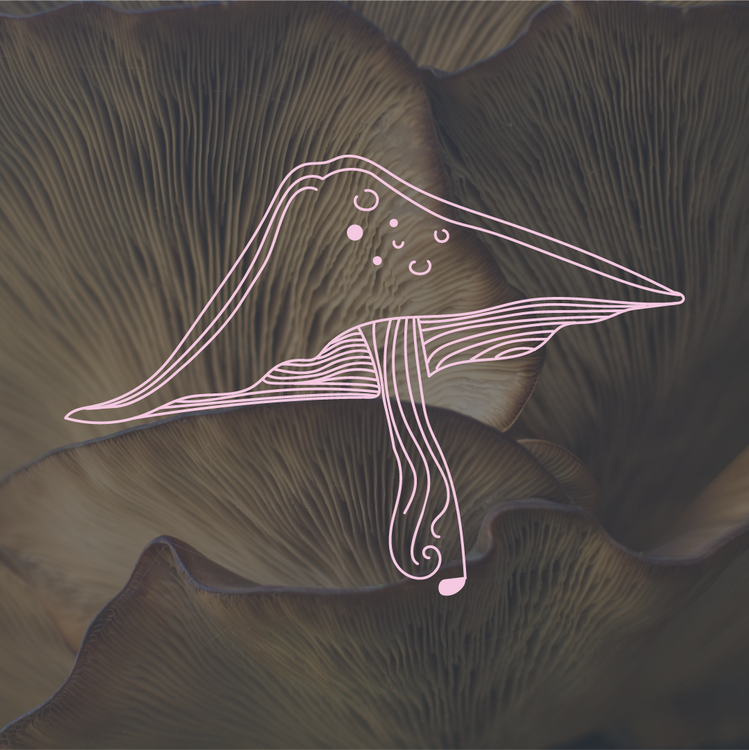 Artboard 1 copy 7.png