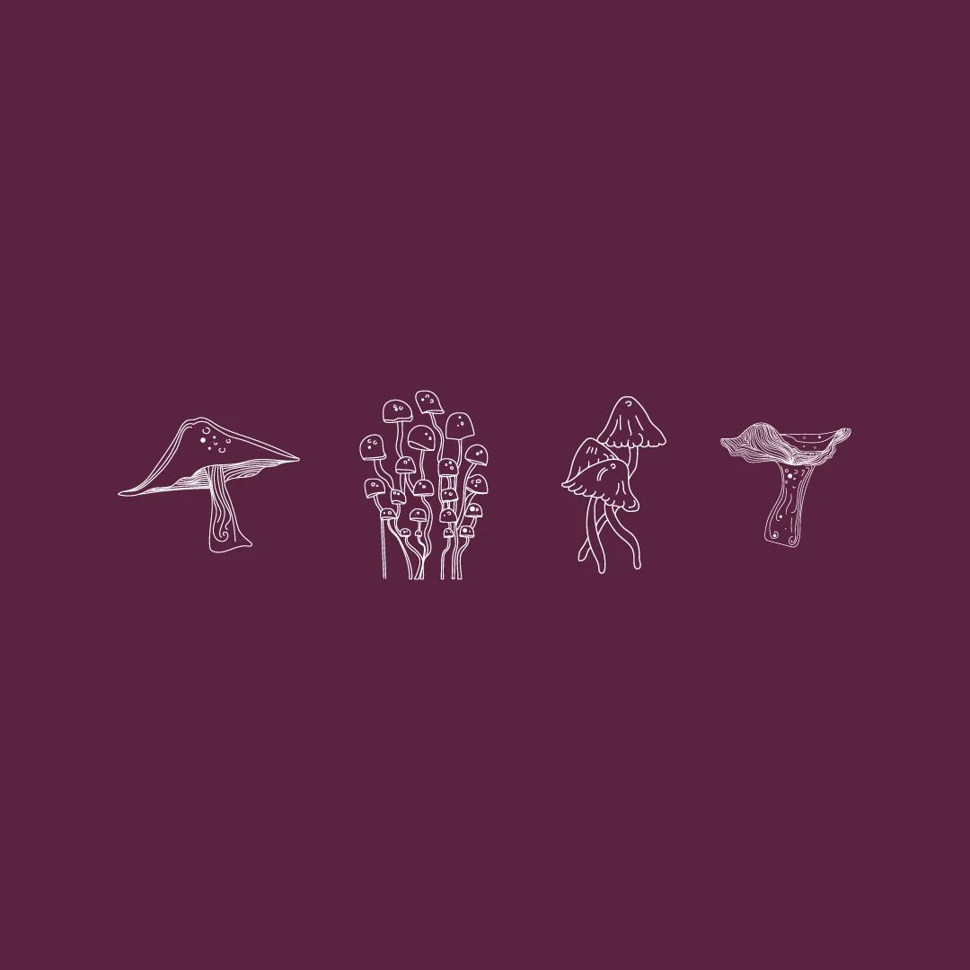 Shrooms-in-a-row-update.jpg