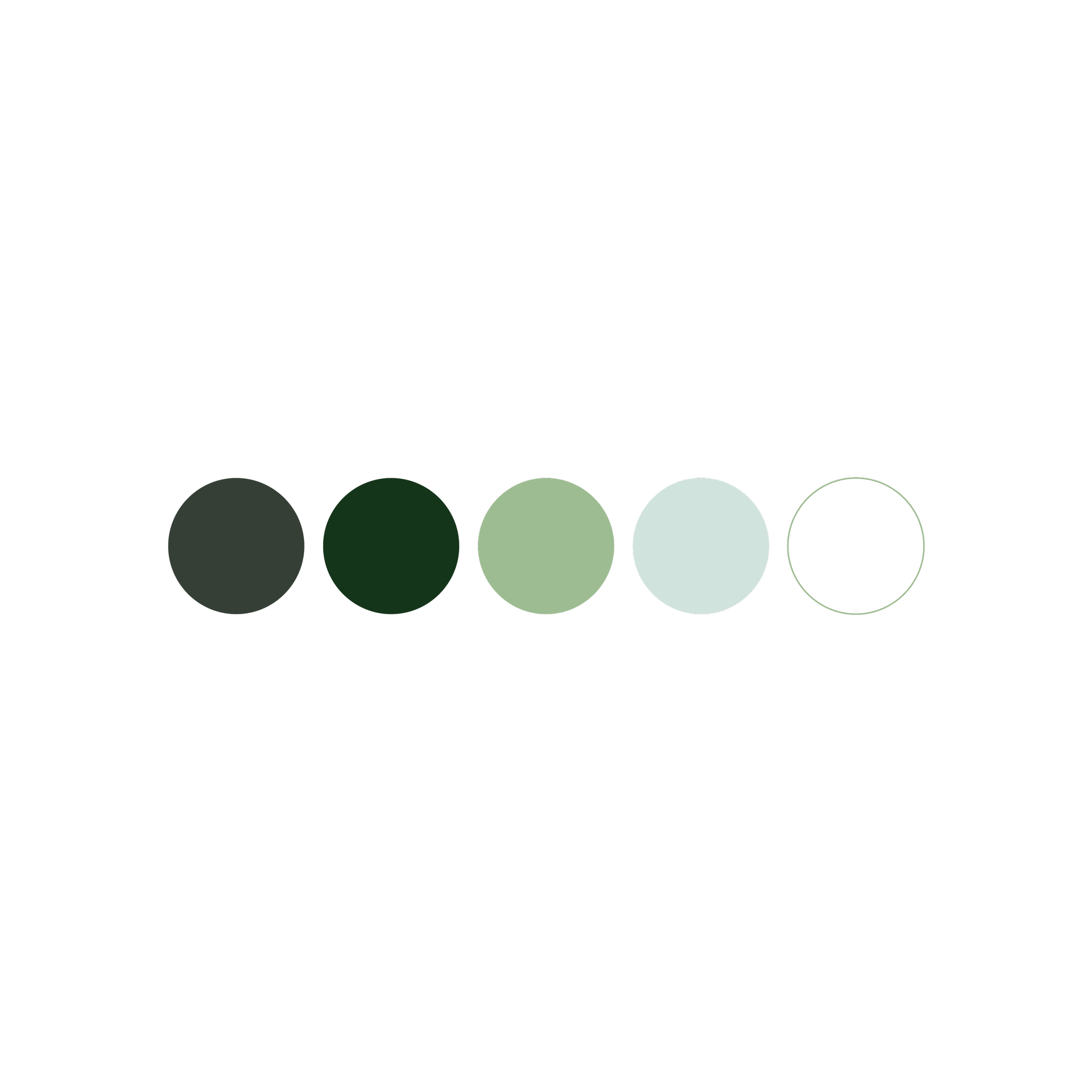 Brand-colours.png