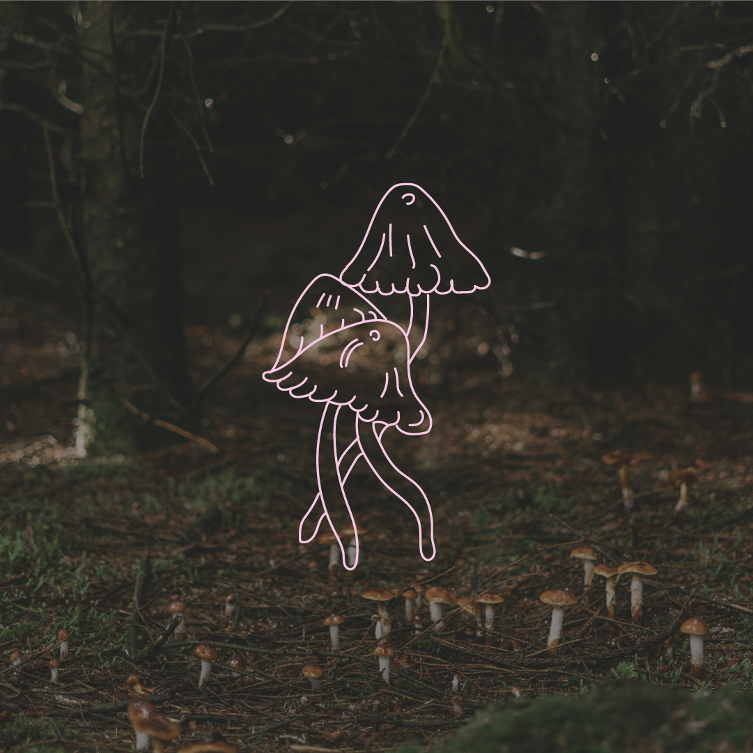 Artboard 1 copy 8.png