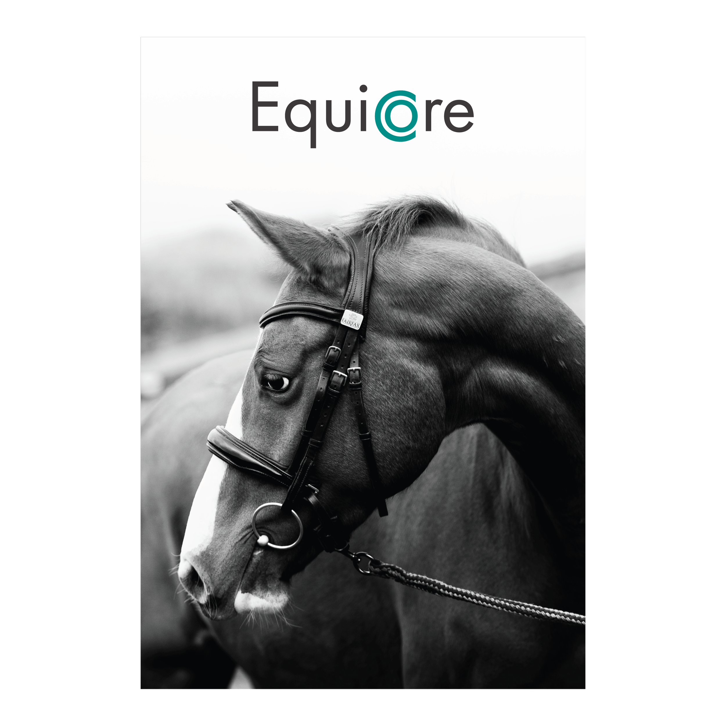 Equicore-logo.png