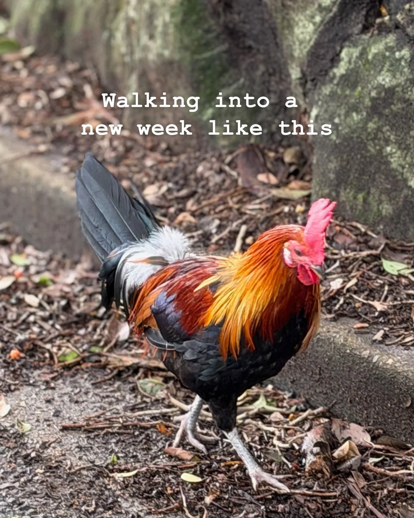 My nervous system feels completely shot. Yet I&rsquo;m still showing up.

Through rest.
Through breath.
Through reflection.
Through self care.

Today, I am grateful for this moment of stillness.
For sitting with these uncomfortable feelings.
For sitt