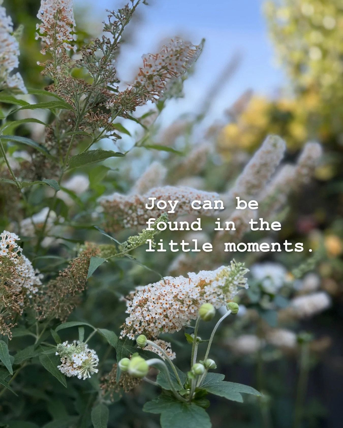 Pause. 
Step outside. 
Breathe the fresh air. 
Notice your surroundings. 
It&rsquo;s there. 

M ✨