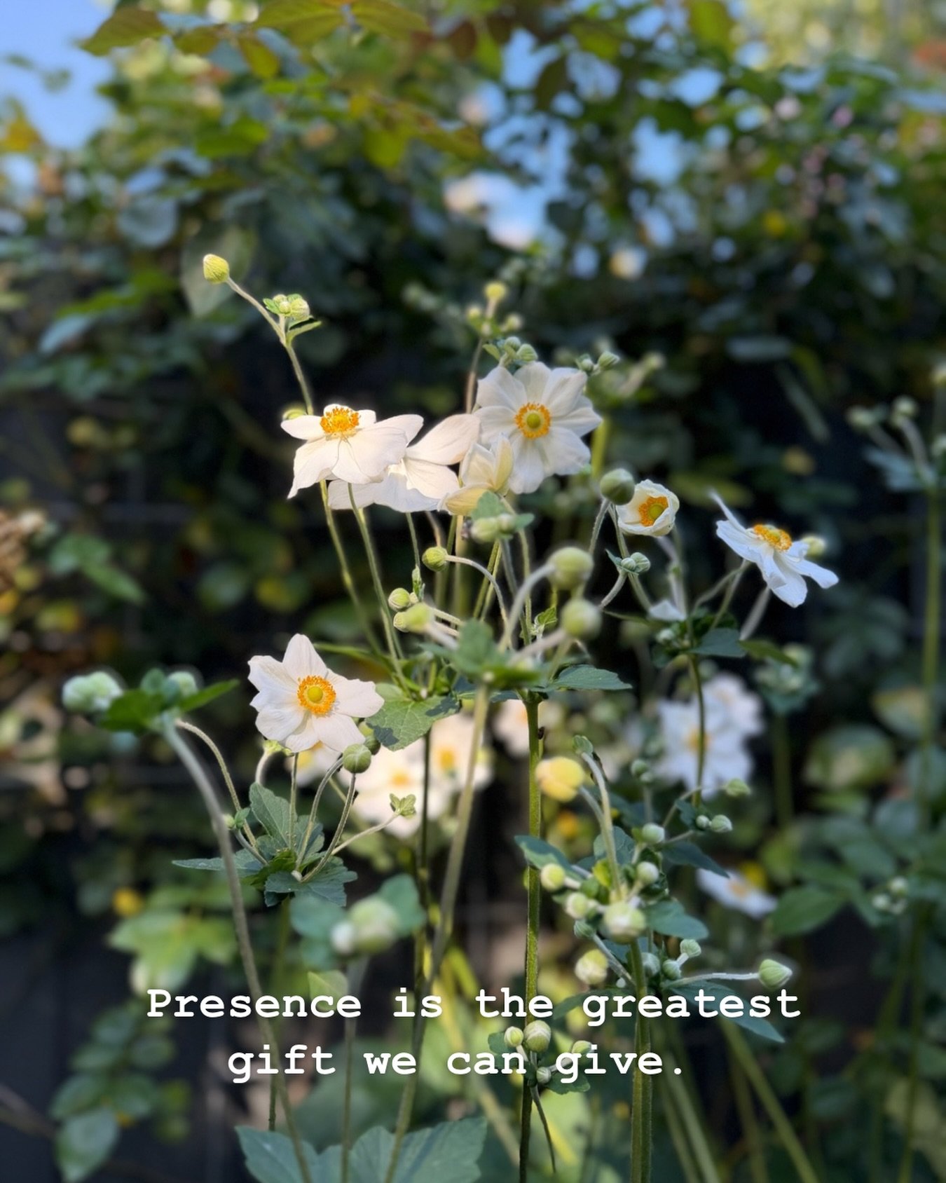Presence is the greatest gift we can give to ourselves and to others.

M ✨

New Day Vibes &bull; Creating space for nervous system awareness through breathwork and reflection.