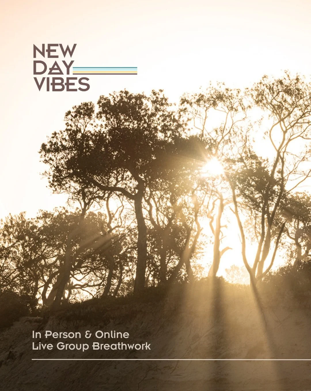 New schedule. New rhythm. More space to breathe.

As we move through the cooler months, our live group Breathwork sessions are settling into a steadier rhythm.

Online sessions are now available Sunday, Tuesday and Friday evenings, creating greater c