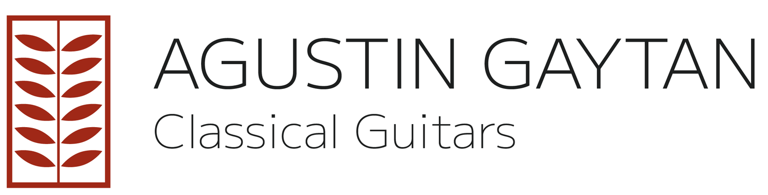 Agustin Gaytan Guitars