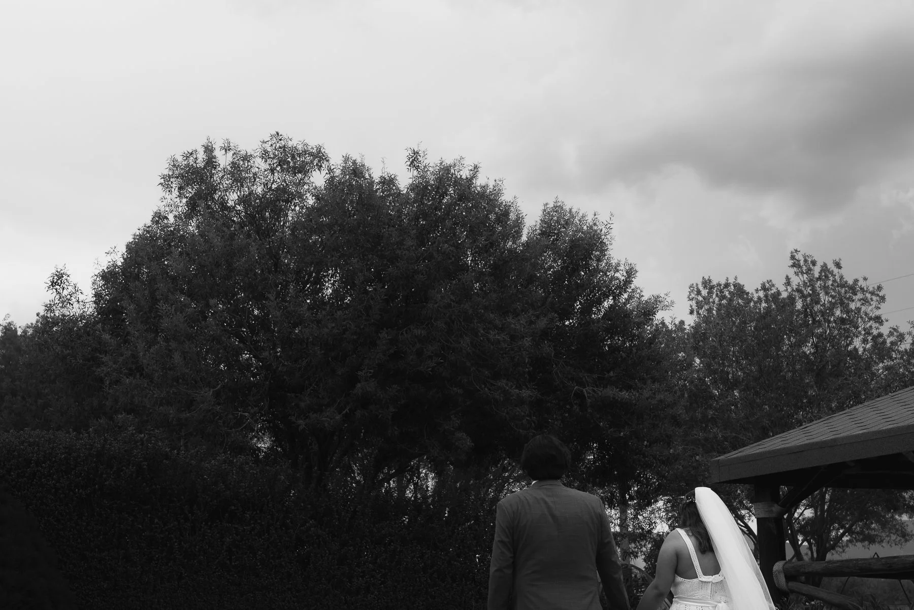 DSC_9130.jpg