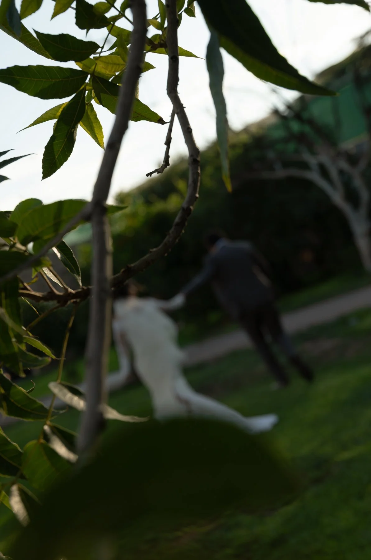 DSC_7645.jpg