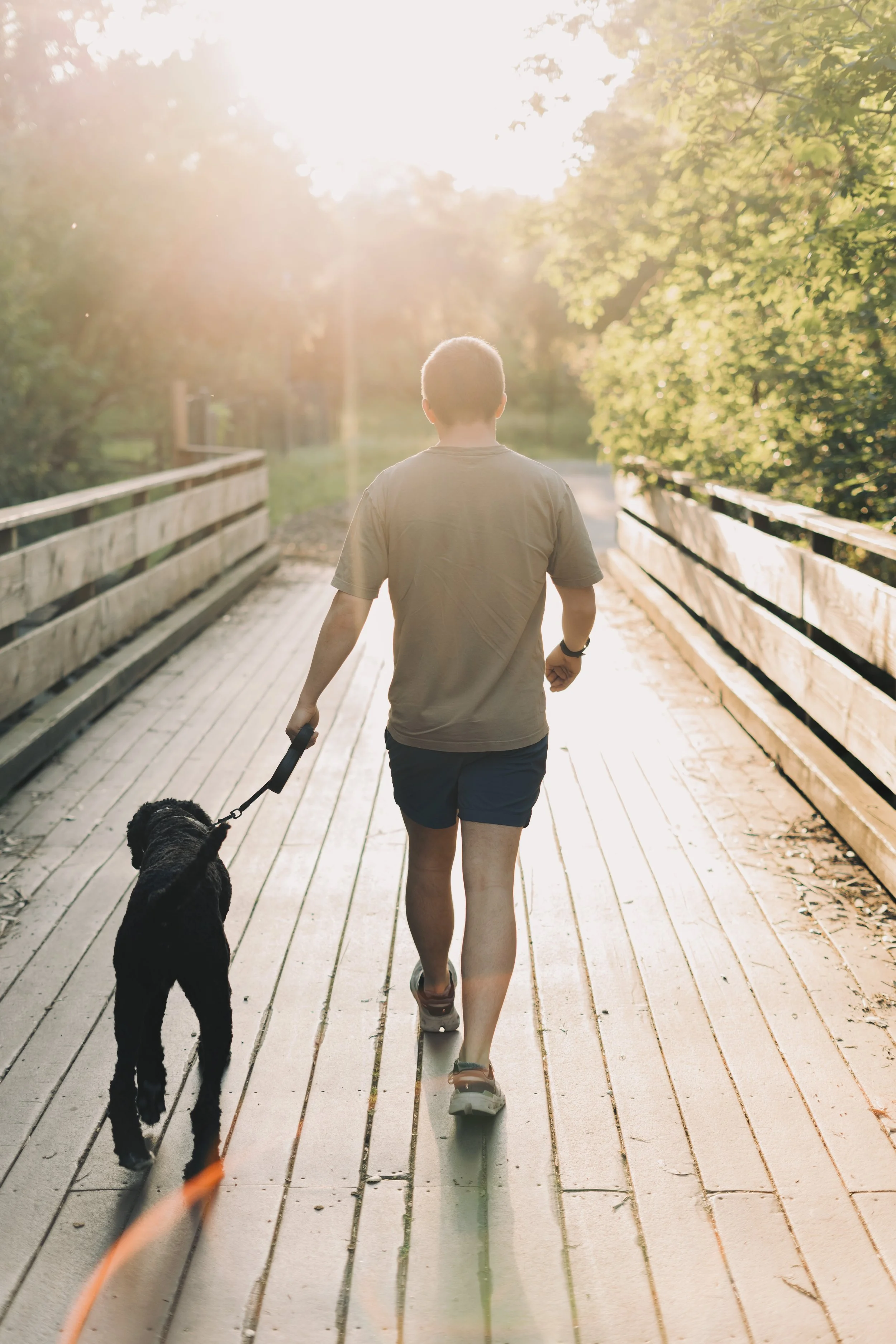 Stanford Campus Graduation Photo - A person walking on a wooden bridge with a dog, surrounded by green trees in warm sunlight.