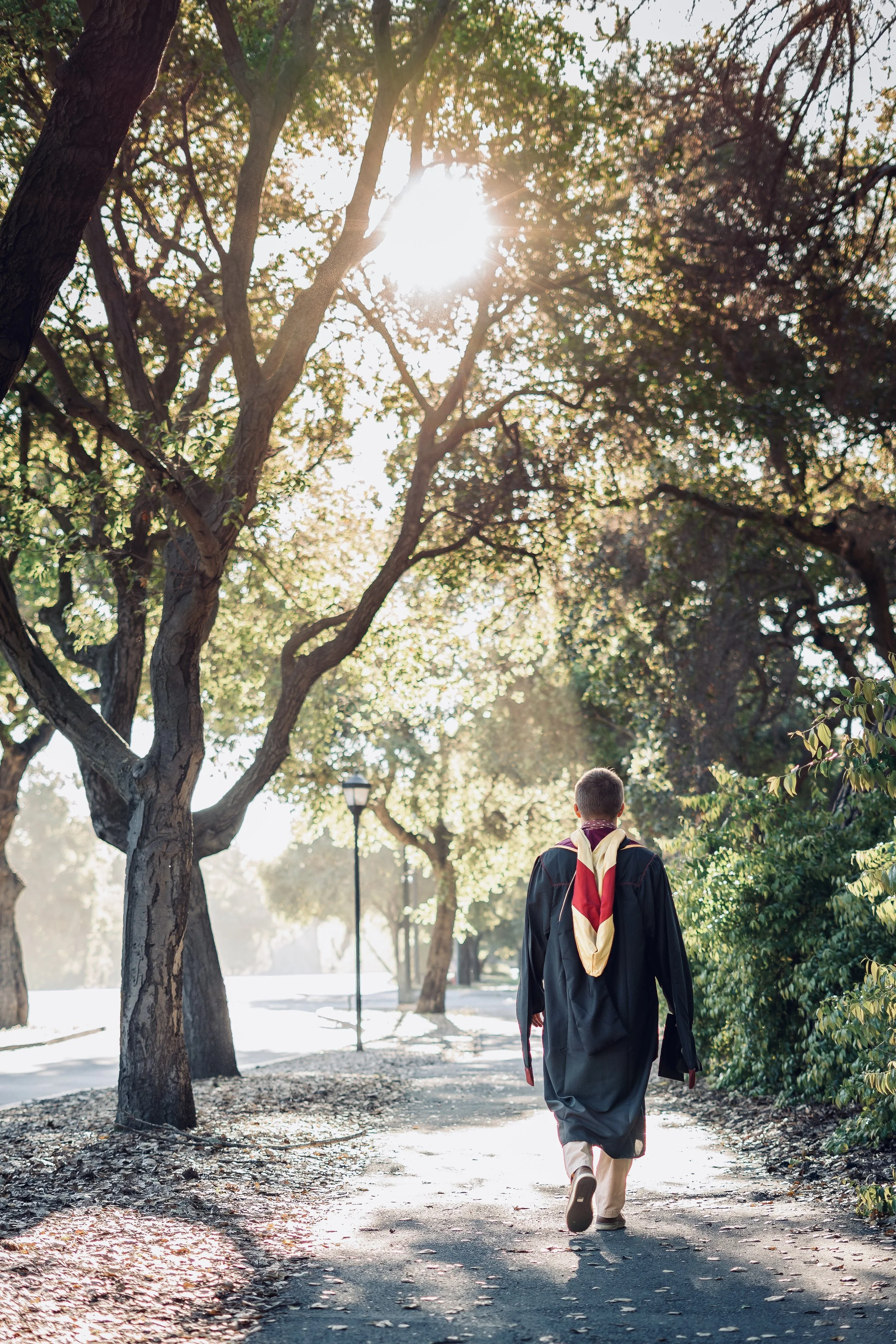 Stanford Campus Graduation Photo - A person in a graduation gown with a backpack walking on a tree-lined path during late afternoon sunlight.