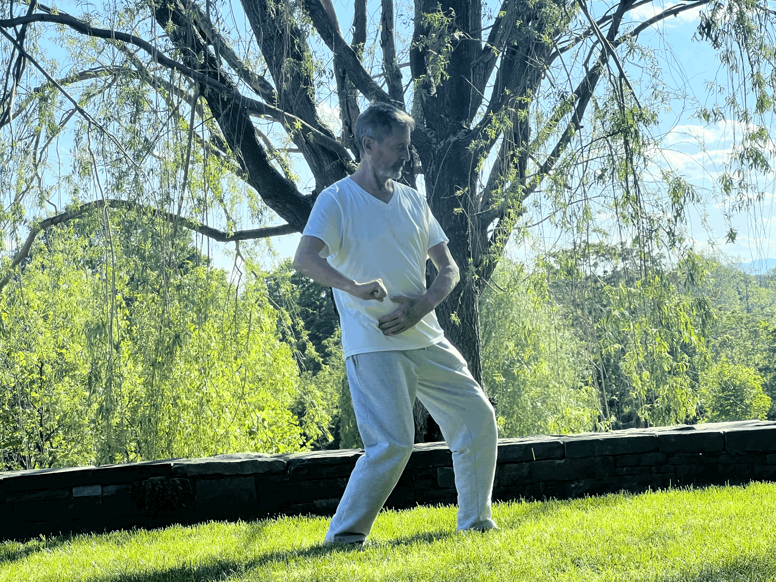 Roots & Rivers Tai Chi Workshop