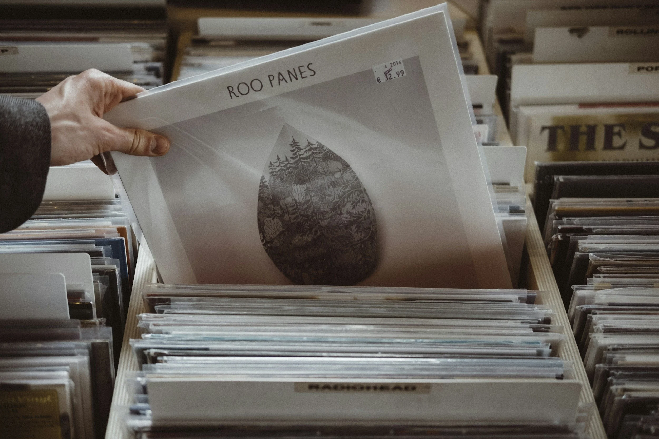 A person shopping for records in a store, holding a vinyl record with an album cover featuring a tree and mountain scene. The record is titled 'Roo Pans' and has a price sticker of €32.99.