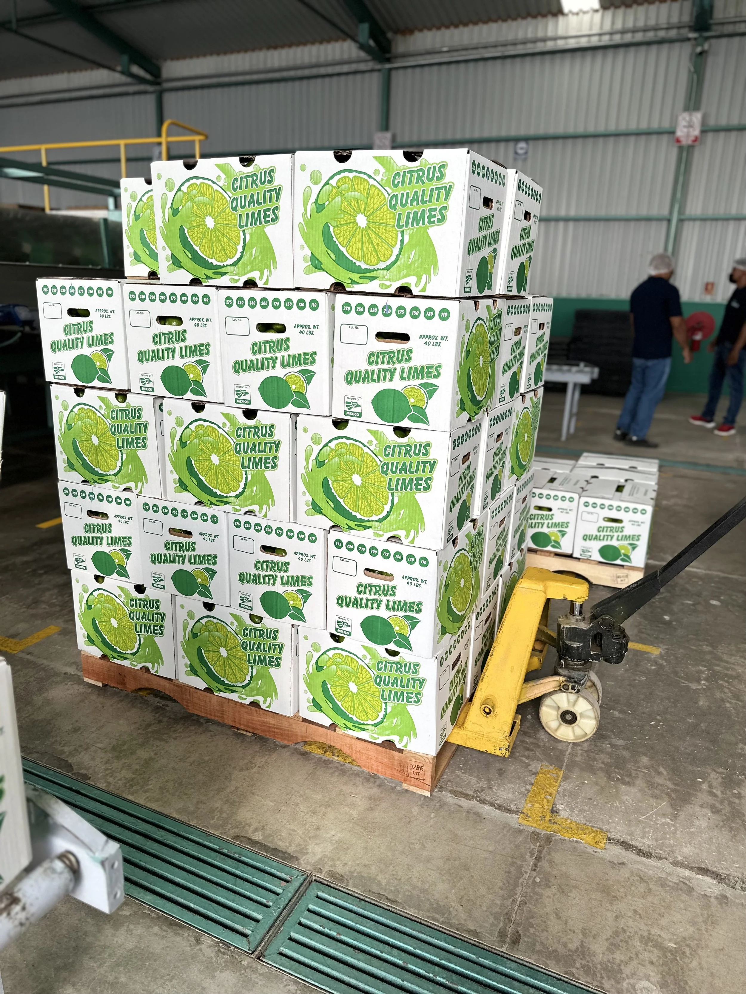 Logística confiable