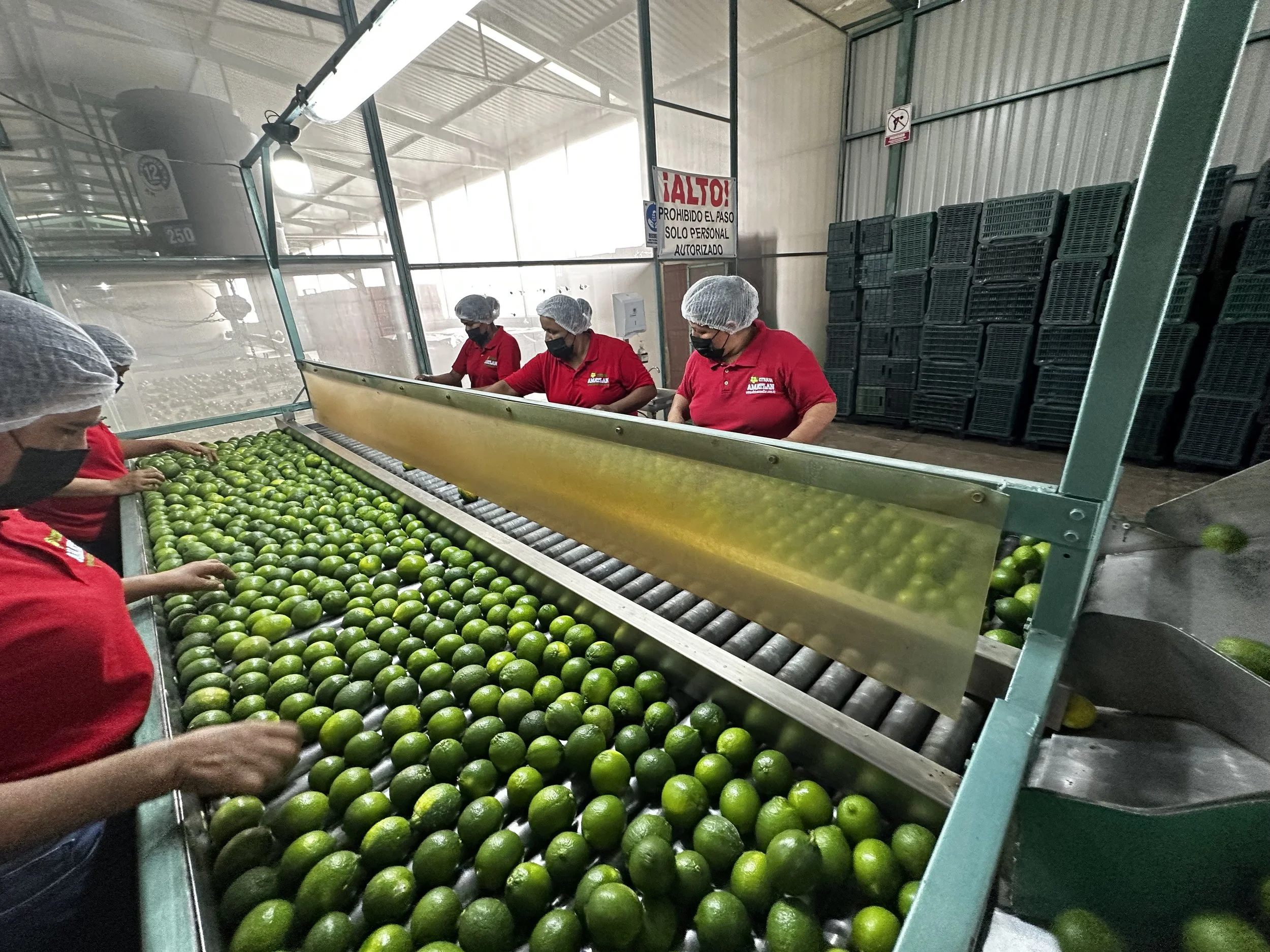 Calidad y selección