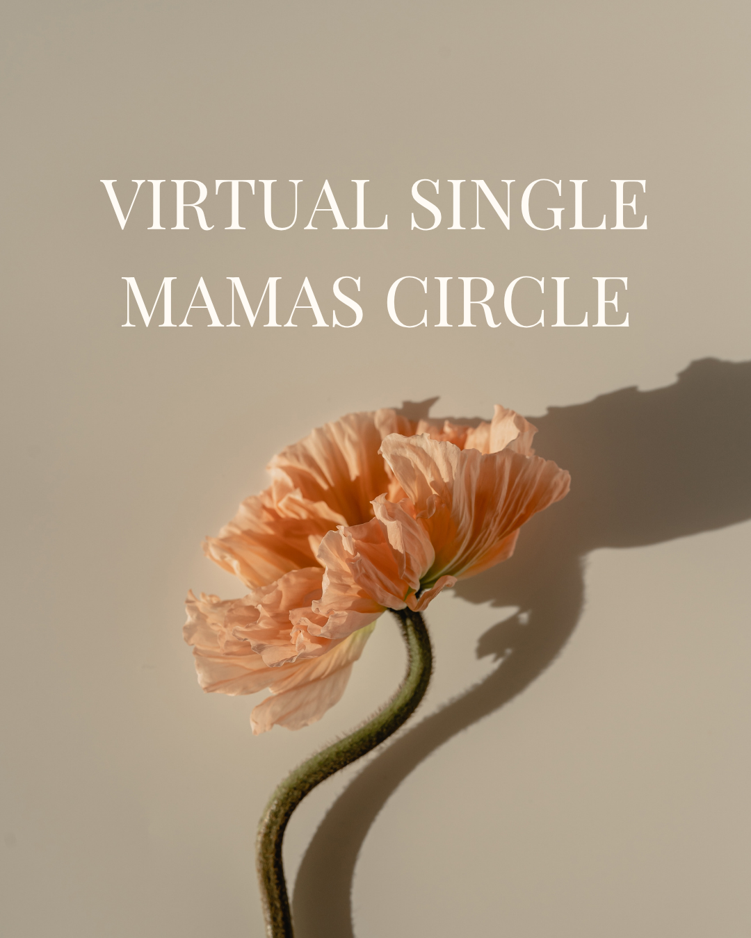 Single Mamas Circle October 7th