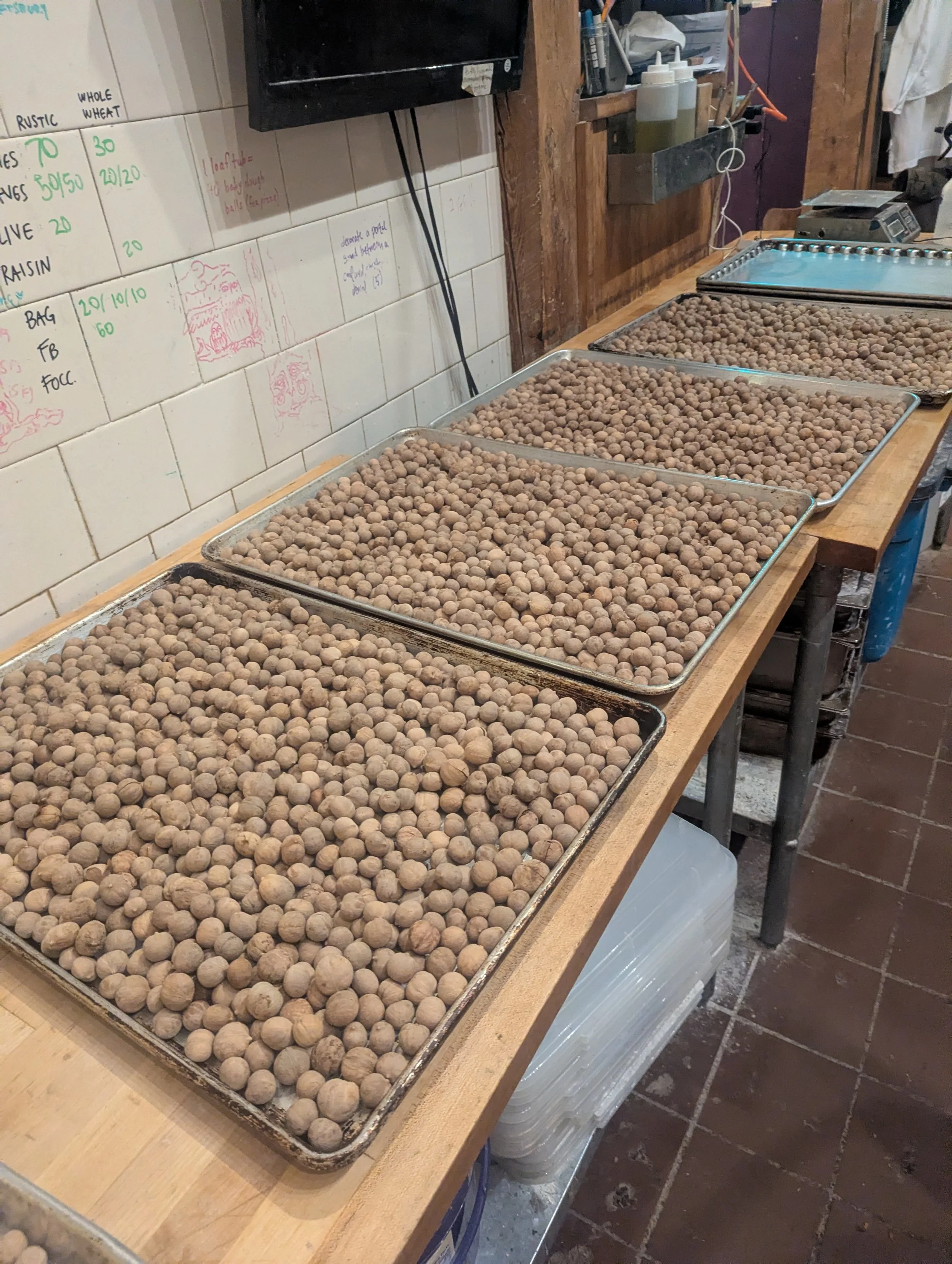Multiple trays filled with brown, round, dried herbs or seeds on a wooden work surface in a workshop or kitchen.