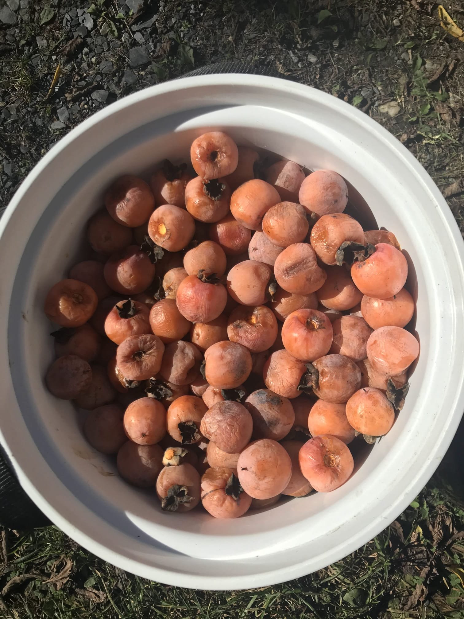 IMG-20260207-WA0007 (1).jpg