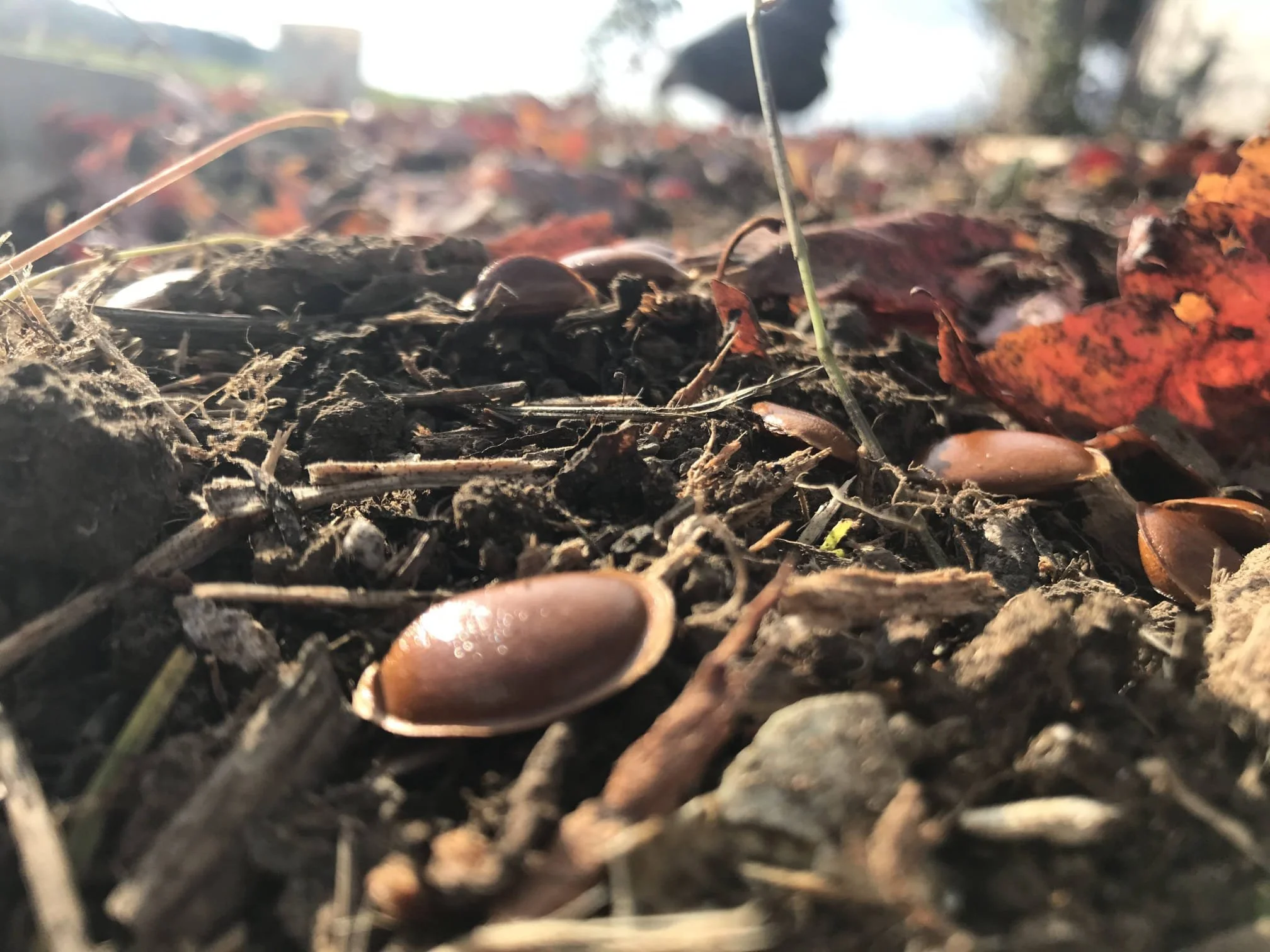 IMG-20260207-WA0006 (1).jpg