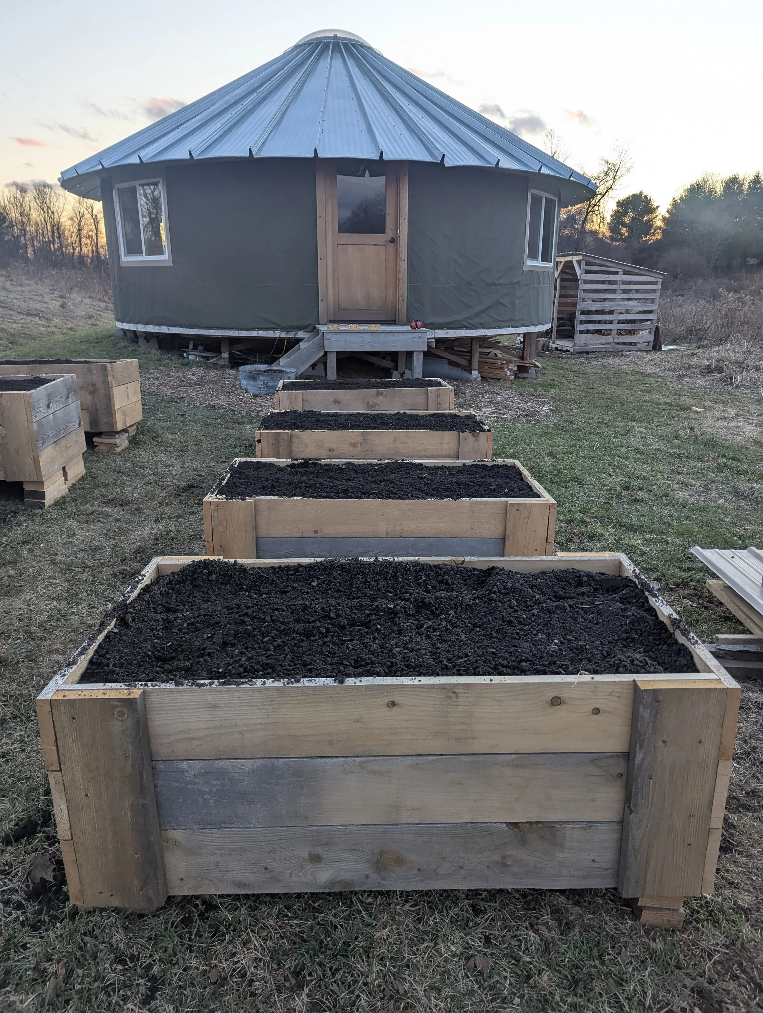 A yurt with gardening beds in front of it, arranged in a row, on a grassy field during sunset.