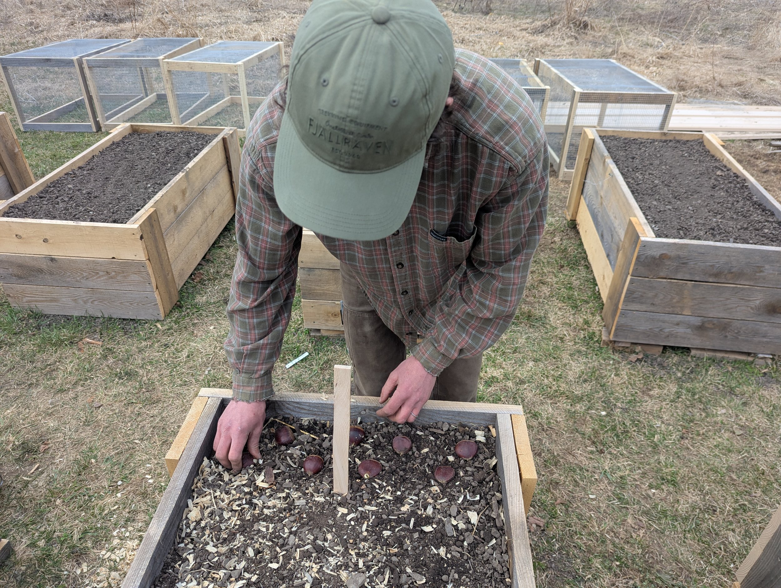 Person planting seeds in a raised garden bed outdoors, surrounded by other garden beds with soil.