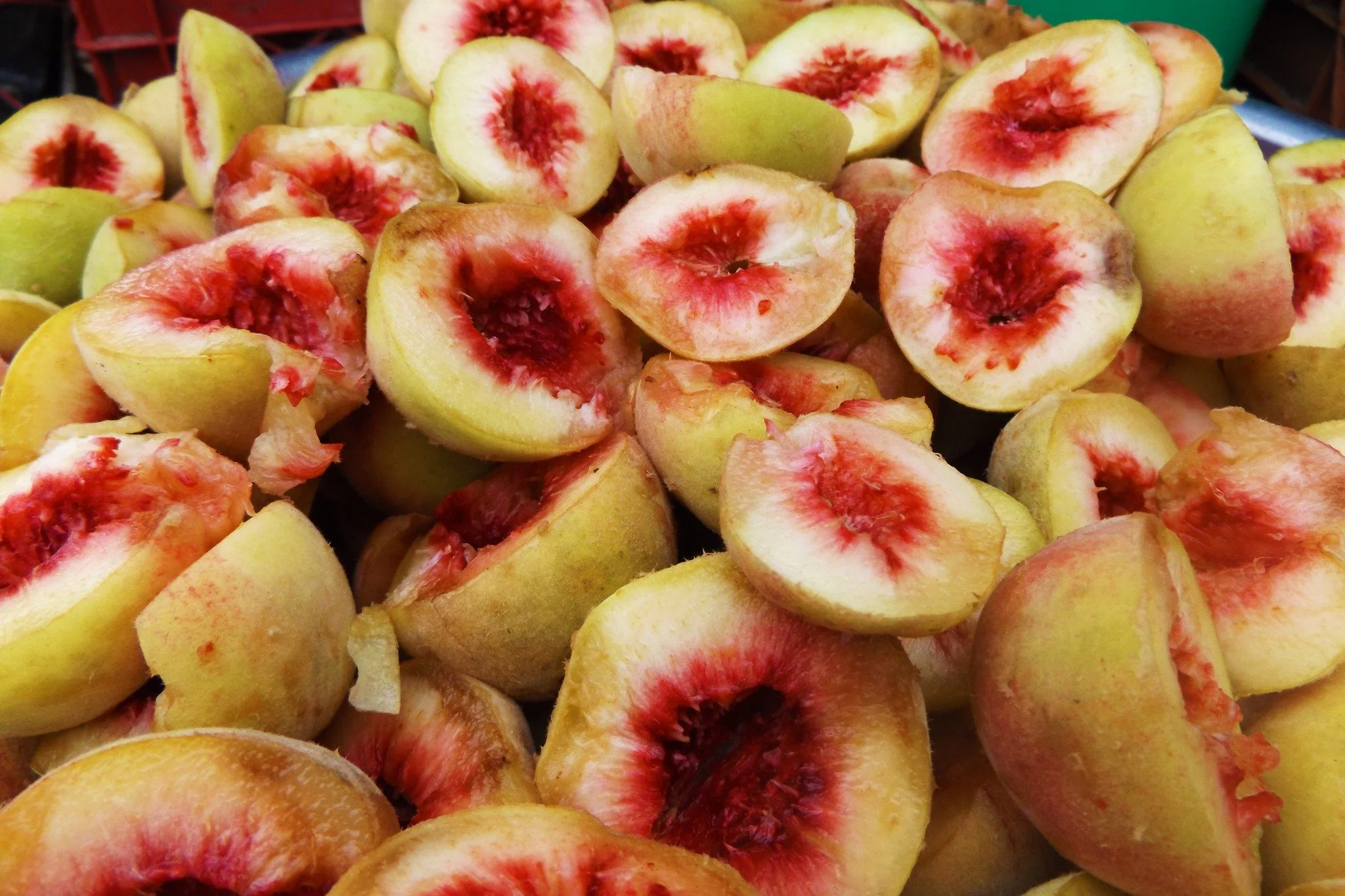 Iowa White Peach
