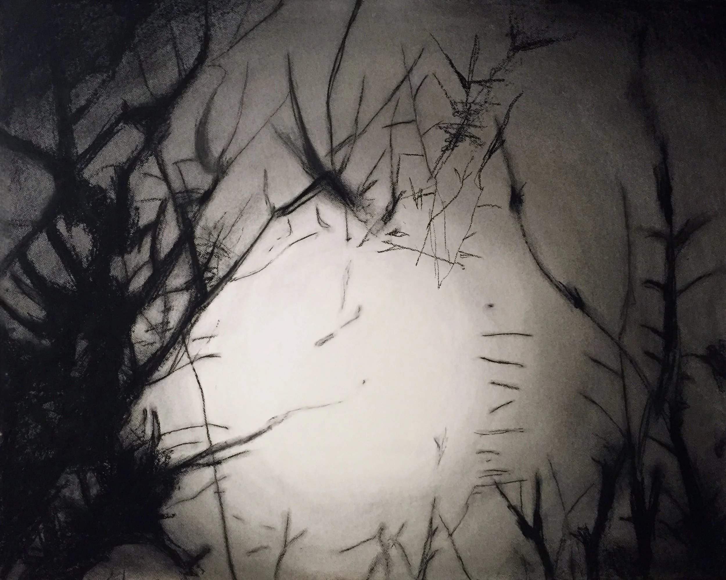 Charcoal, 41" x 51" - SOLD