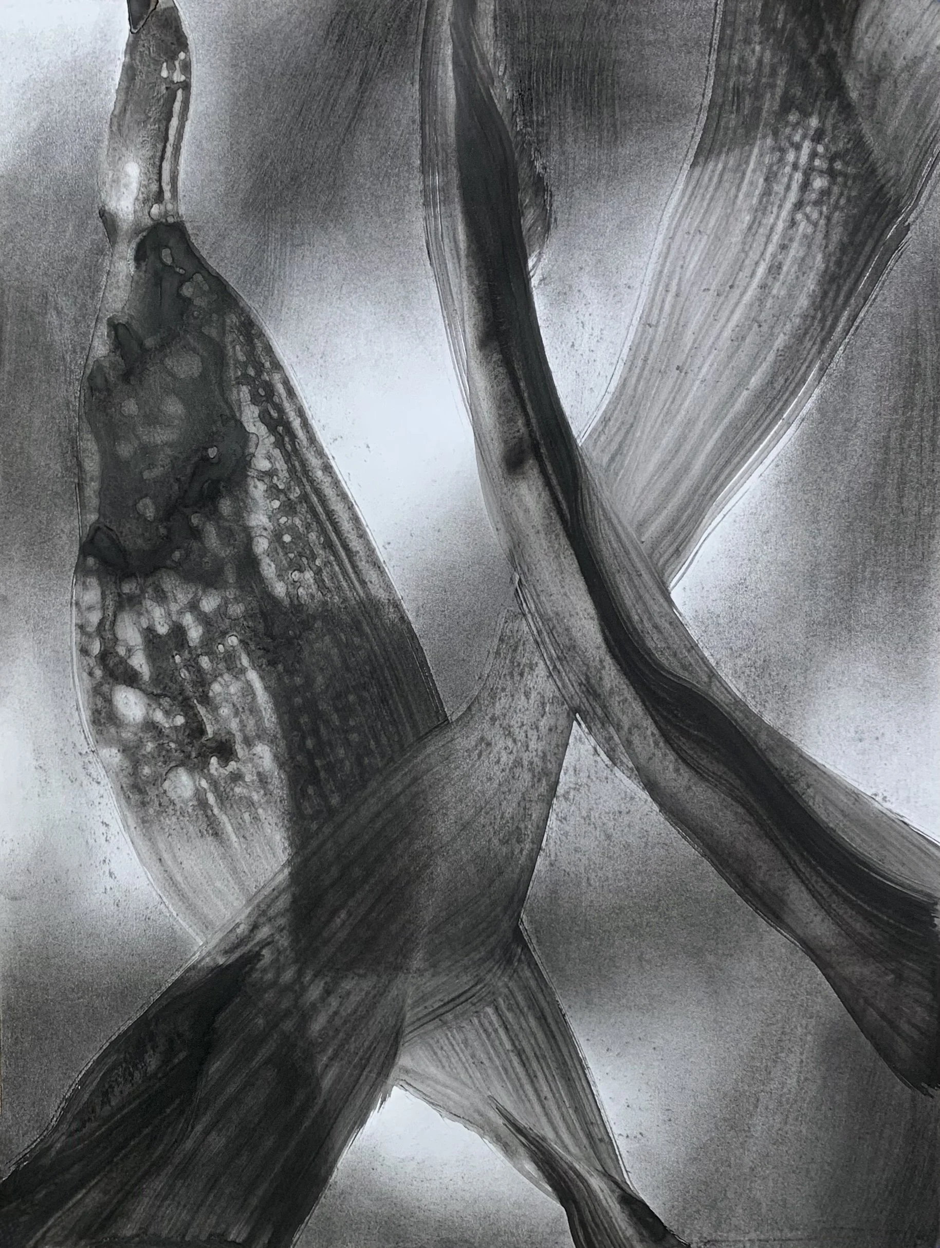 Charcoal and liquid charcoal, 24" x 18"