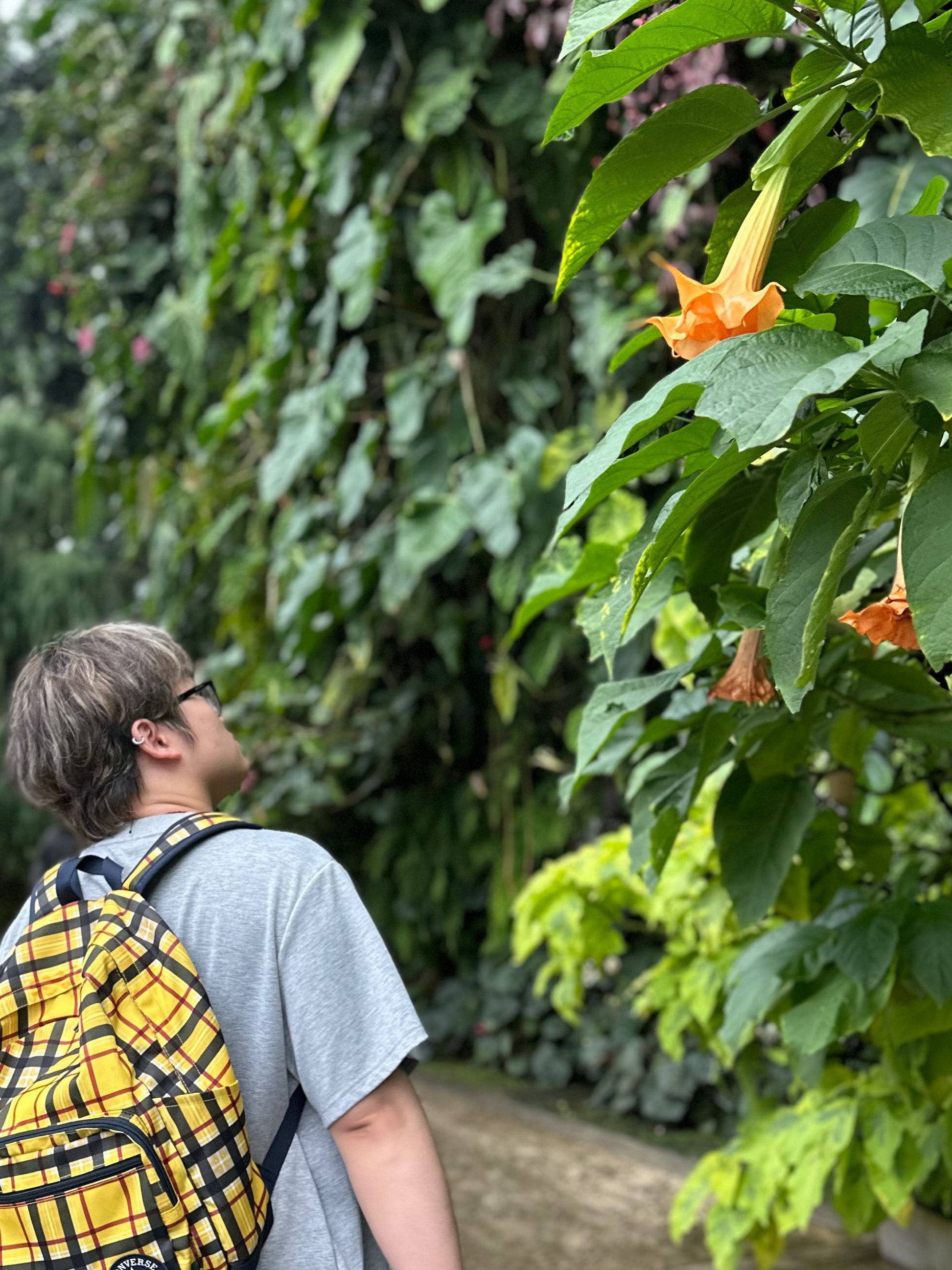 Hao Rao during travel between concert tours