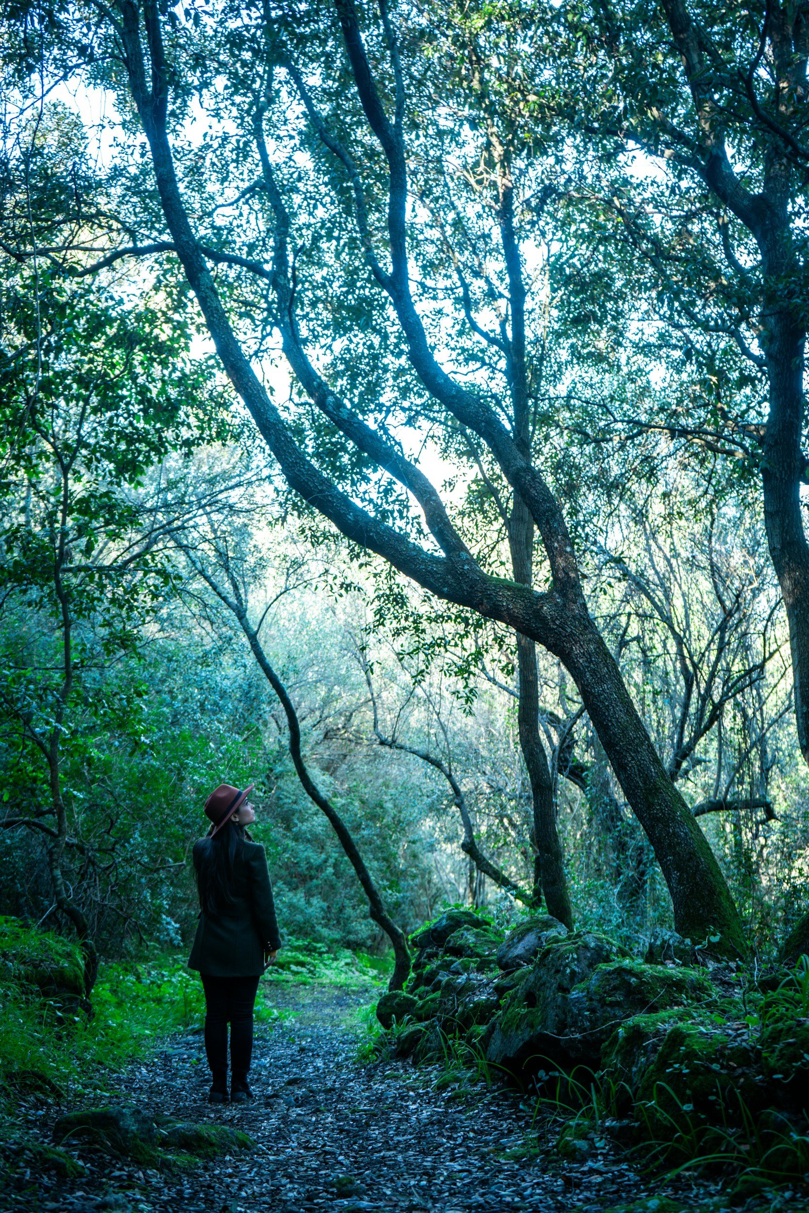 A woman wearing a brown hat and dark jacket stands on a forest trail, looking up at the tall, twisted trees with leaves filtering sunlight.