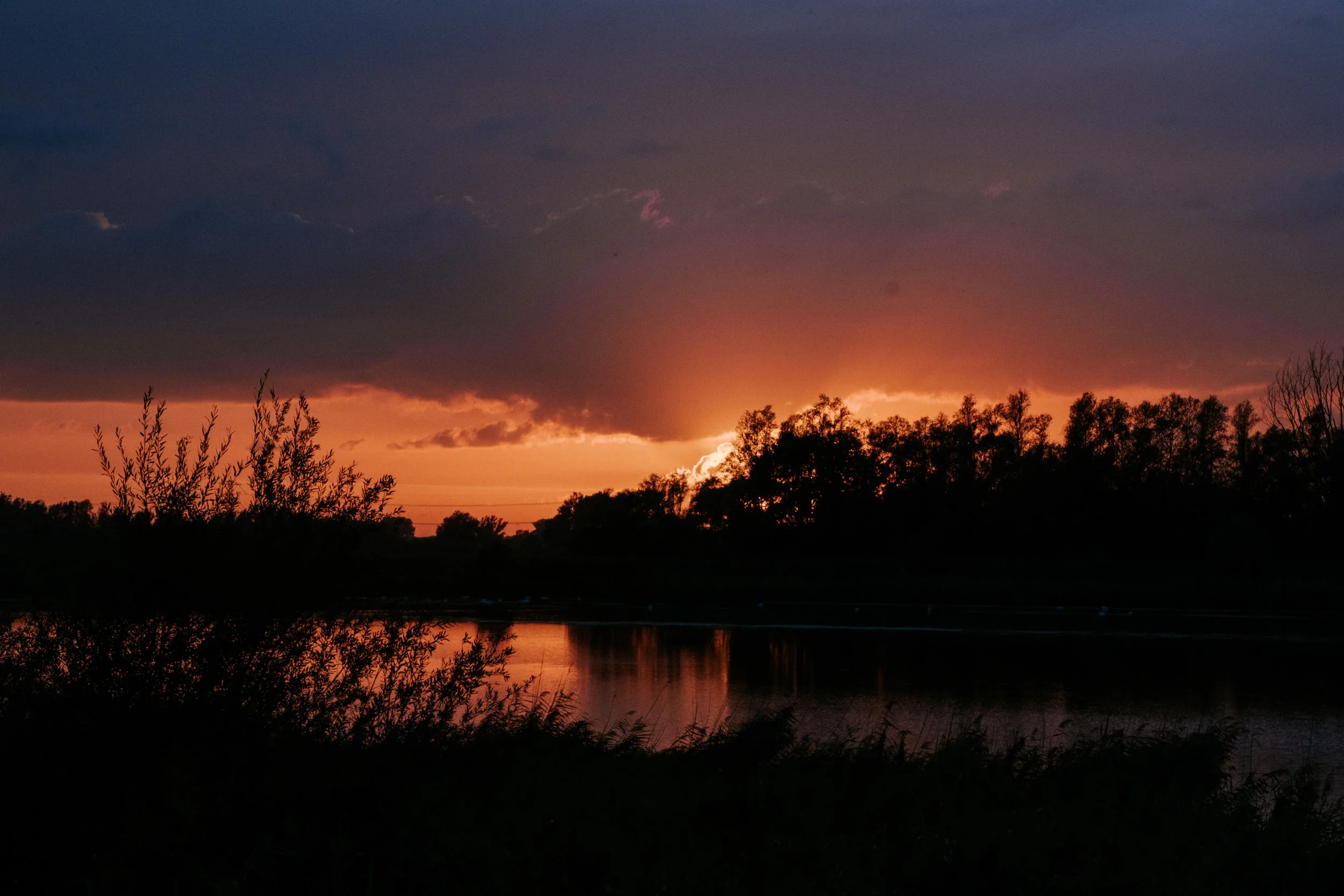 Biesbosch-17.jpg