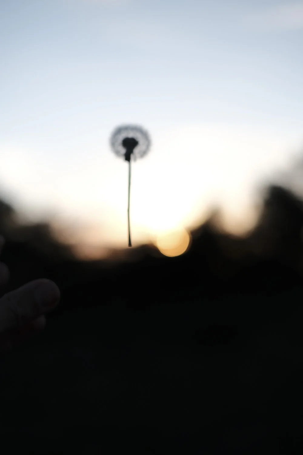 Passie voor outdoor Fotografie