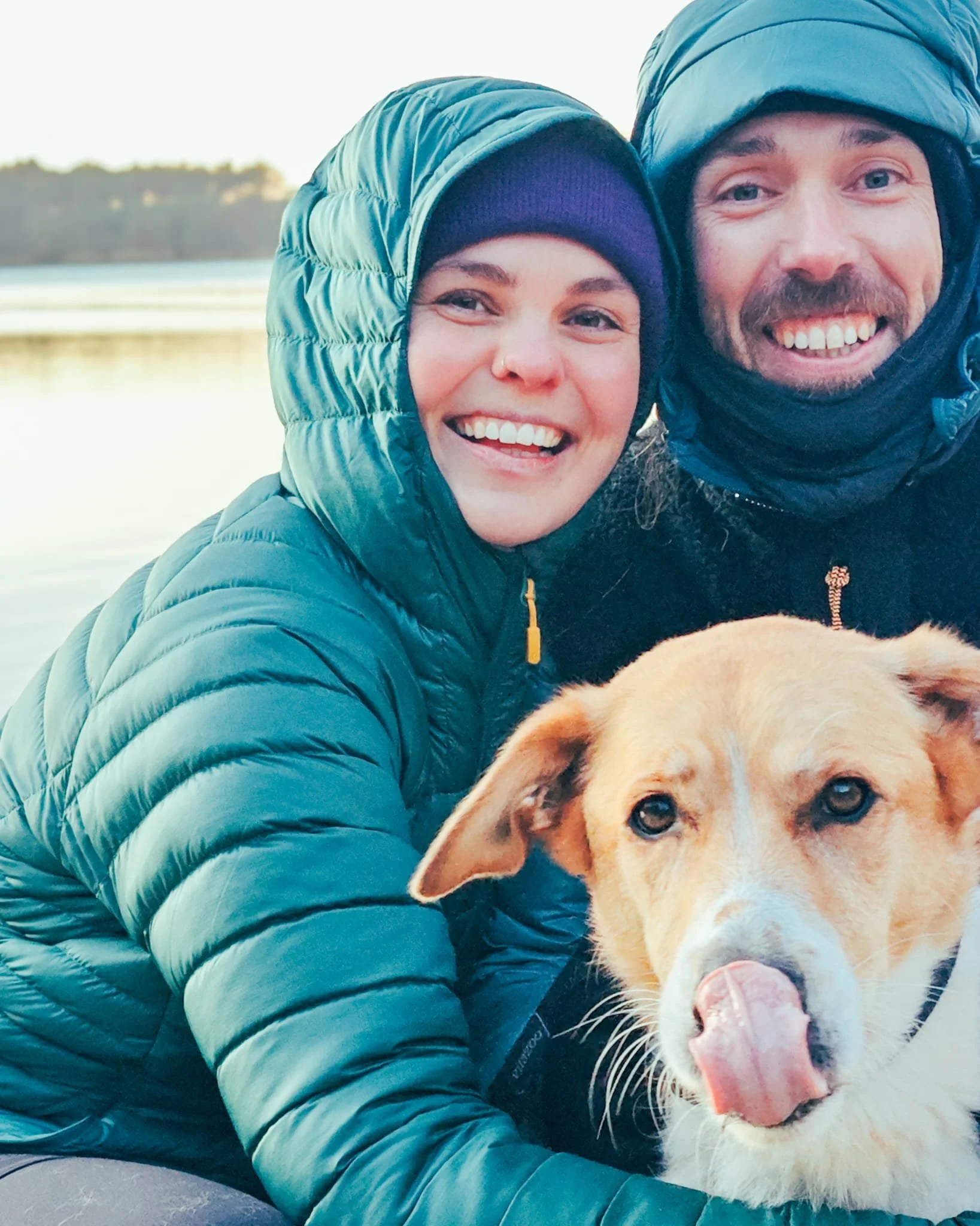 Dog en housesitten in Gent vlaanderen