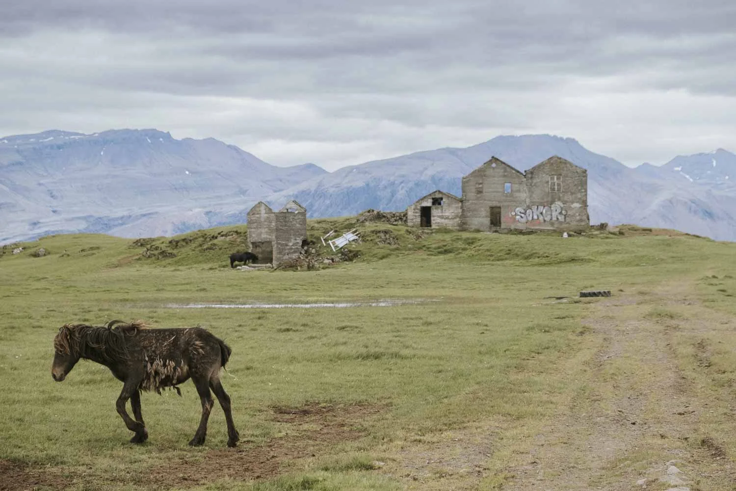 Reisreportages - Reisfotografie Ijsland 2