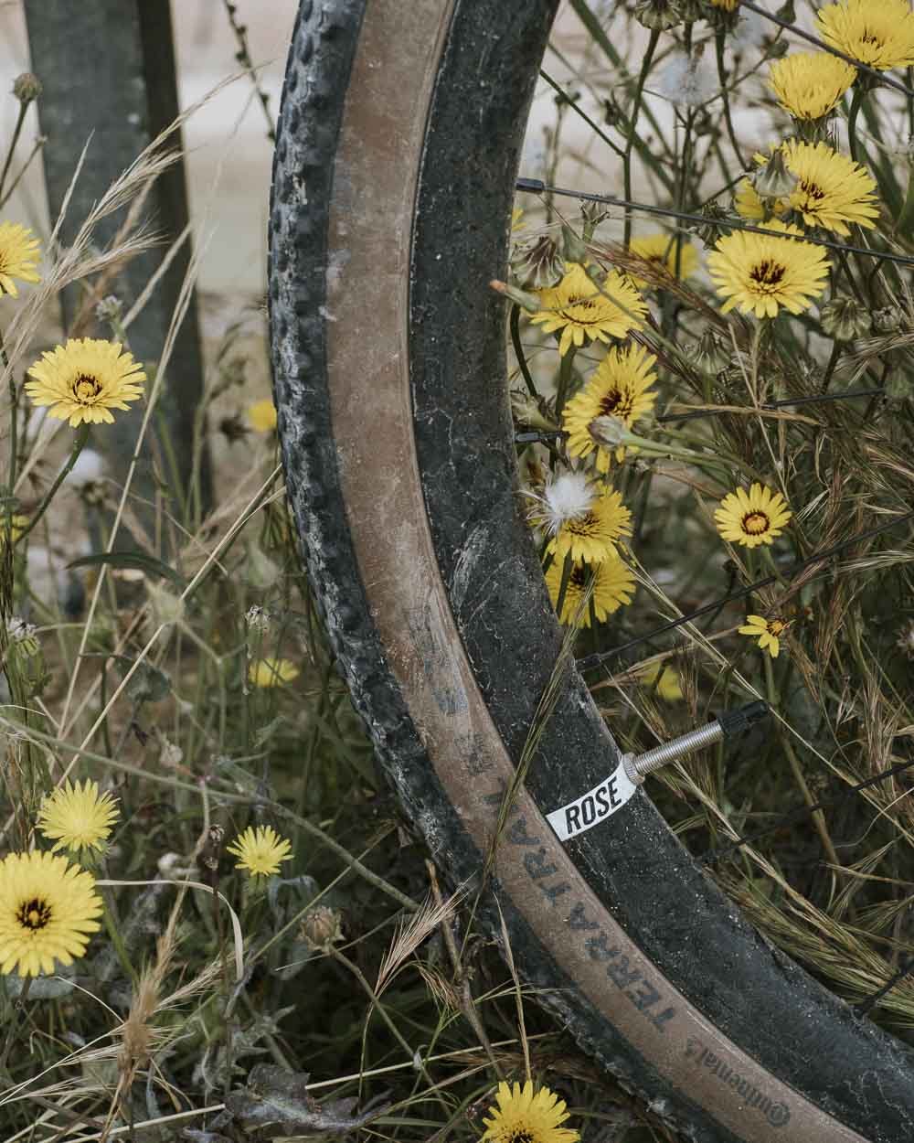 Fotografie Wielset ROSE Backroad AL