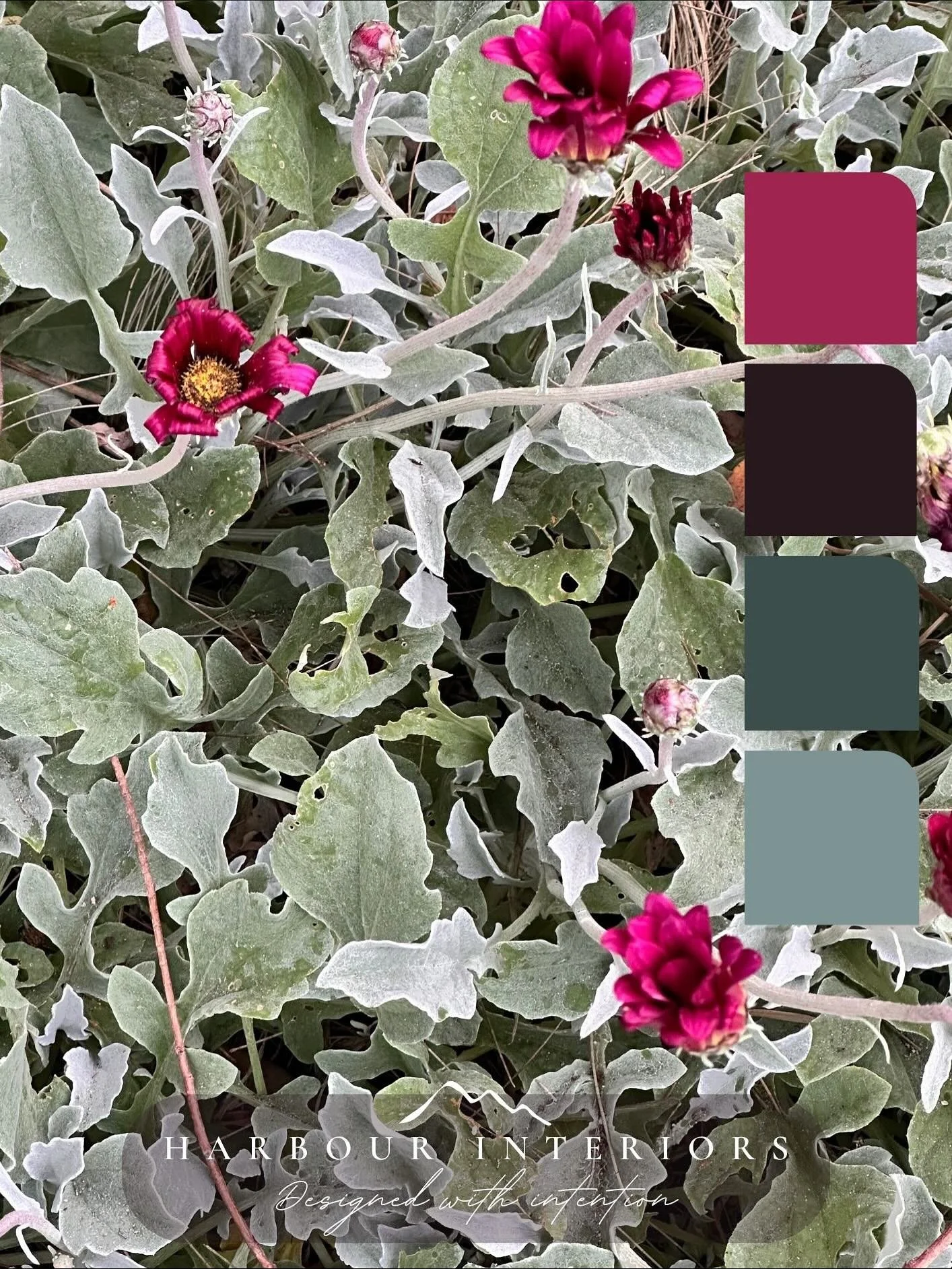 When it came time to reimagine our brand, we knew the palette had to reflect who we are at our core. Naturally, we looked to the natural world &mdash; the same way we do when creating colour stories for our clients.

I experienced a creative block wh